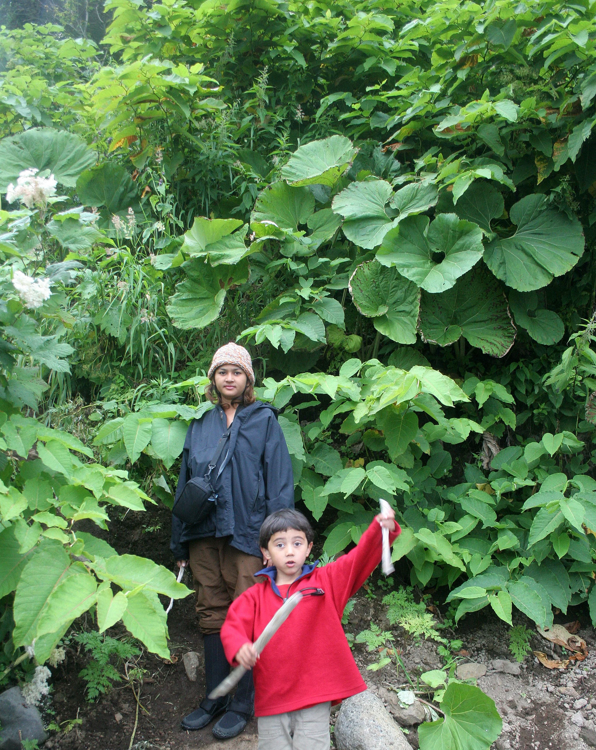 KURIL ISLANDS - FLORA  (43).jpg