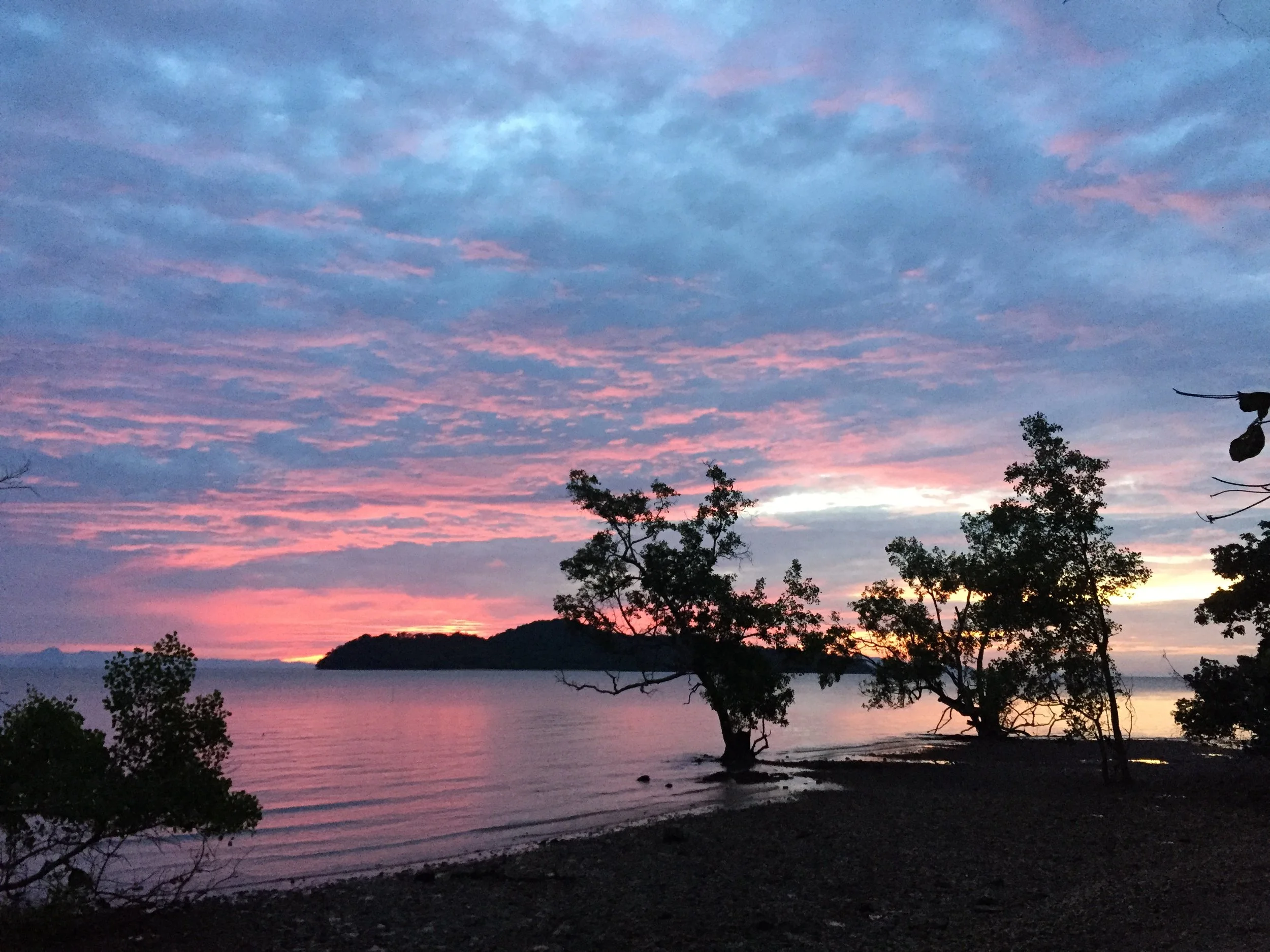 2015 Koh Lanta Garden & Nature (293).JPG