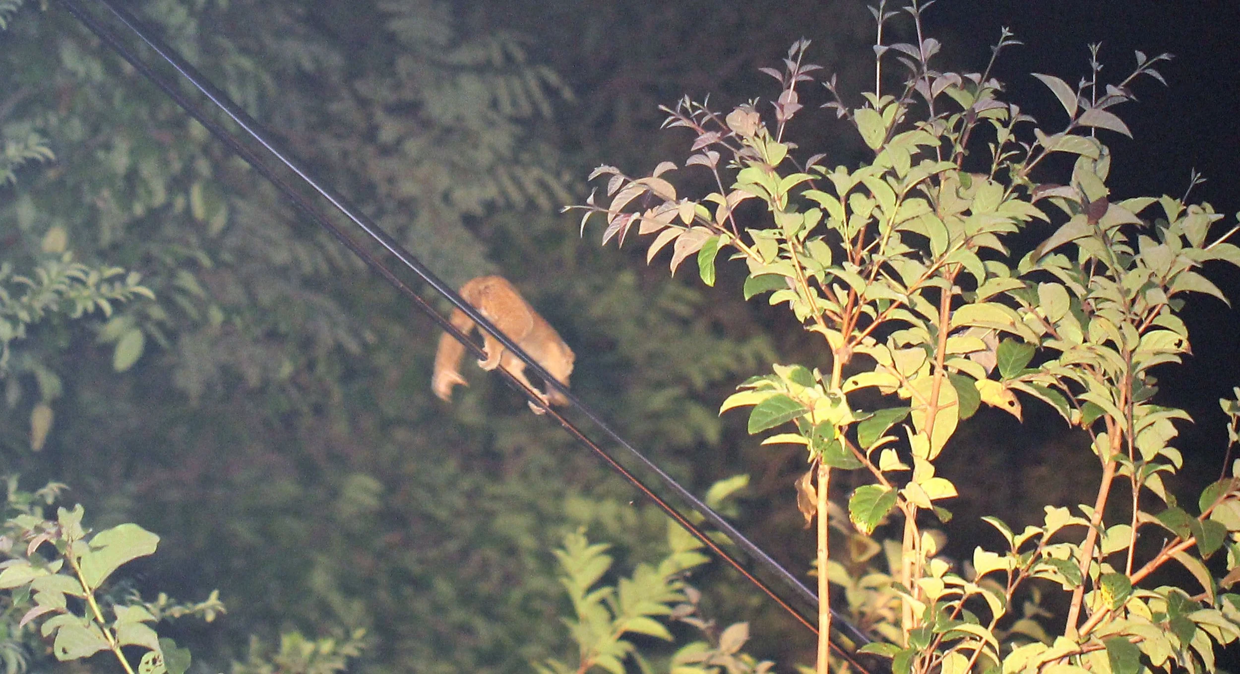 2015 Koh Lanta October Break Trip  (137).JPG