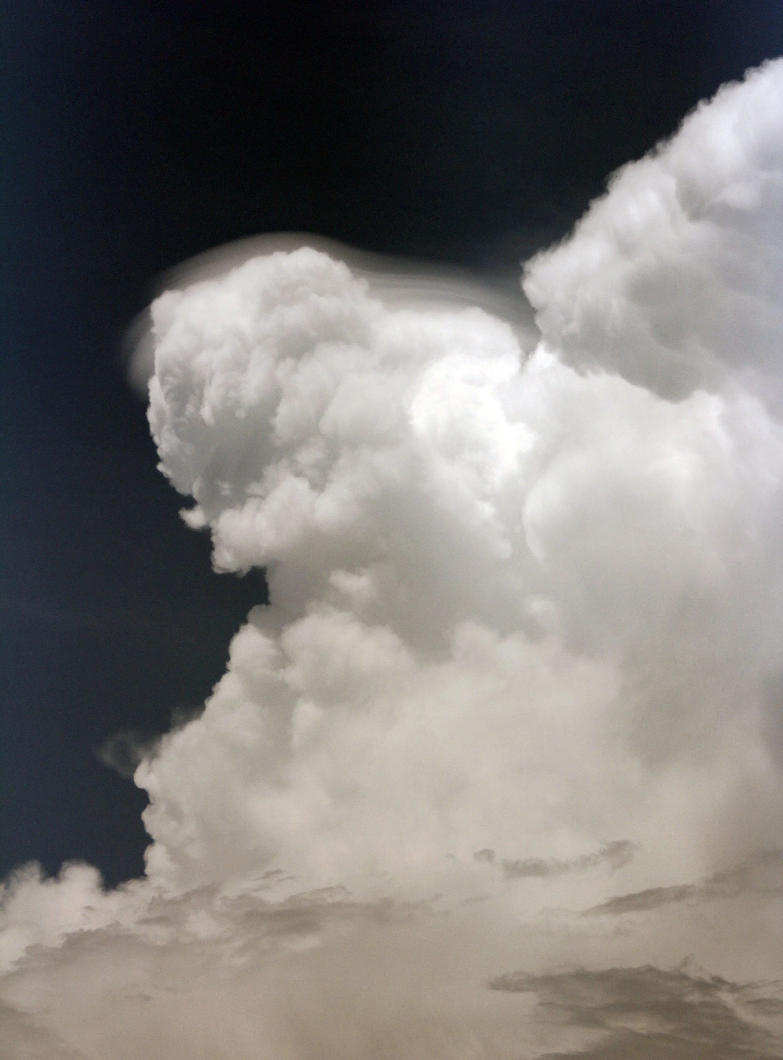 2014 Amphawa Trip to See Whales from Baan Taboon (133).JPG