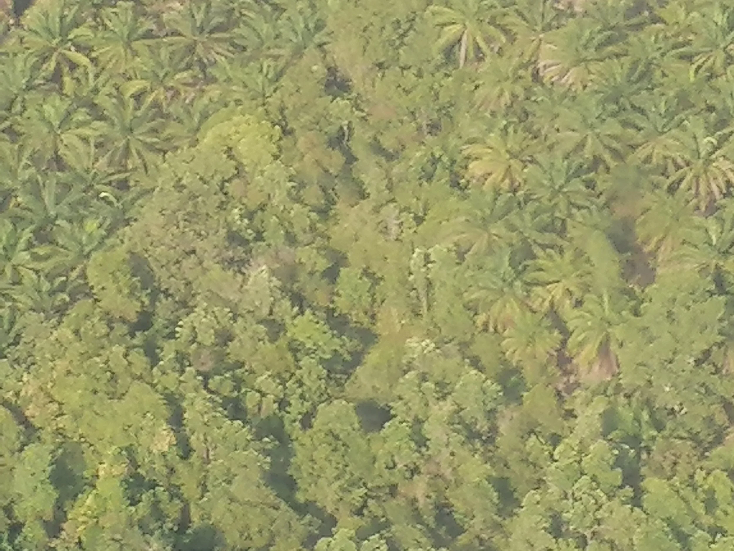 2018 Koh Lanta Misc  (231).jpg