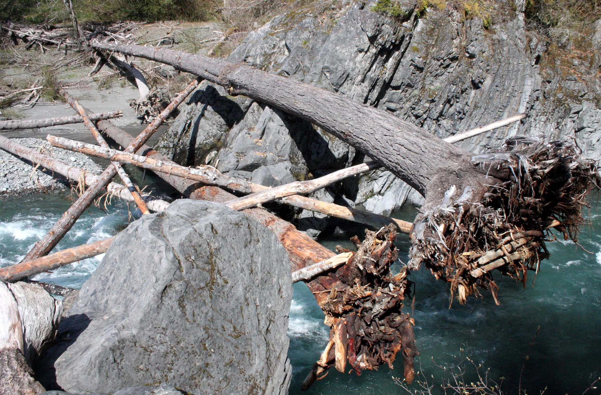 ELWHA RIVER VALLEY - GOBLIN'S GATE.JPG