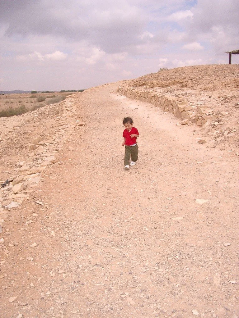 CASTLE LOOP-QUSAYR AMRA (2).JPG