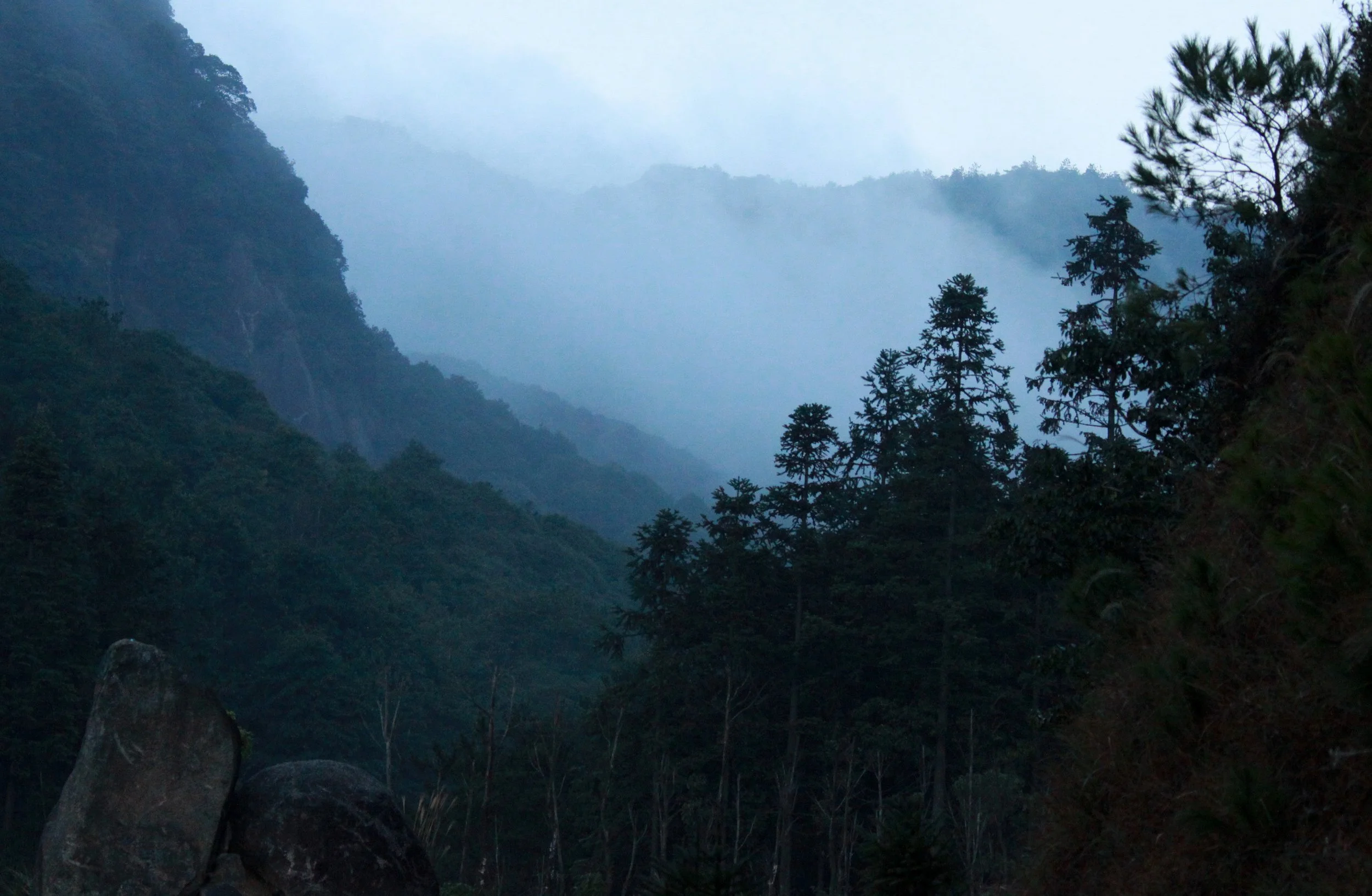 MEIHUASHAN - FUJIAN CHINA (50).JPG