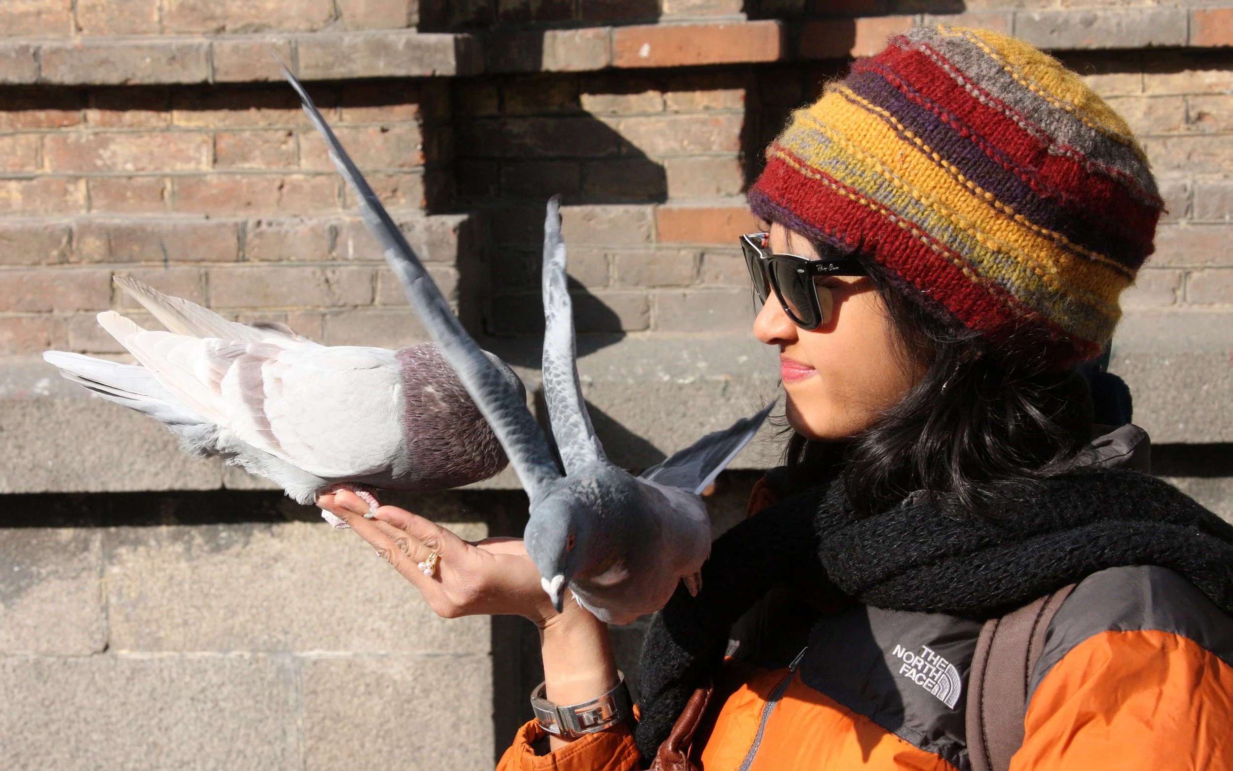BIRD - PIGEON - HARBIN SAINT SOPHIA'S CATHEDRAL CHINA (47).JPG