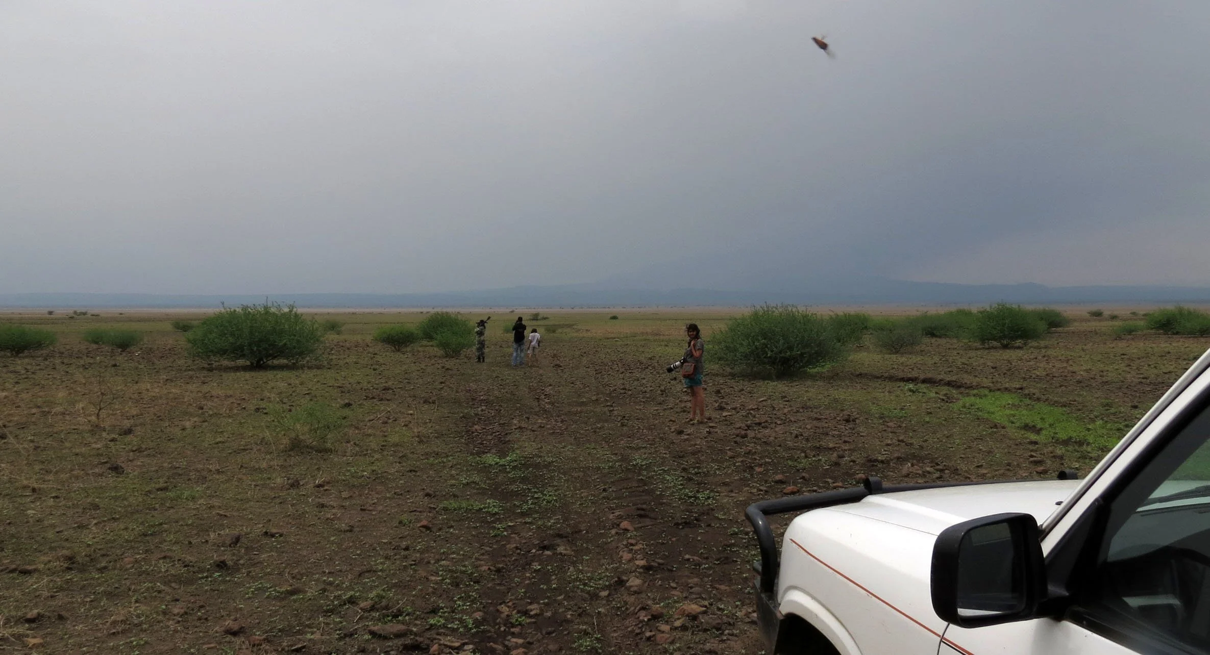 AWASH NATIONAL PARK ETHIOPIA (68).JPG