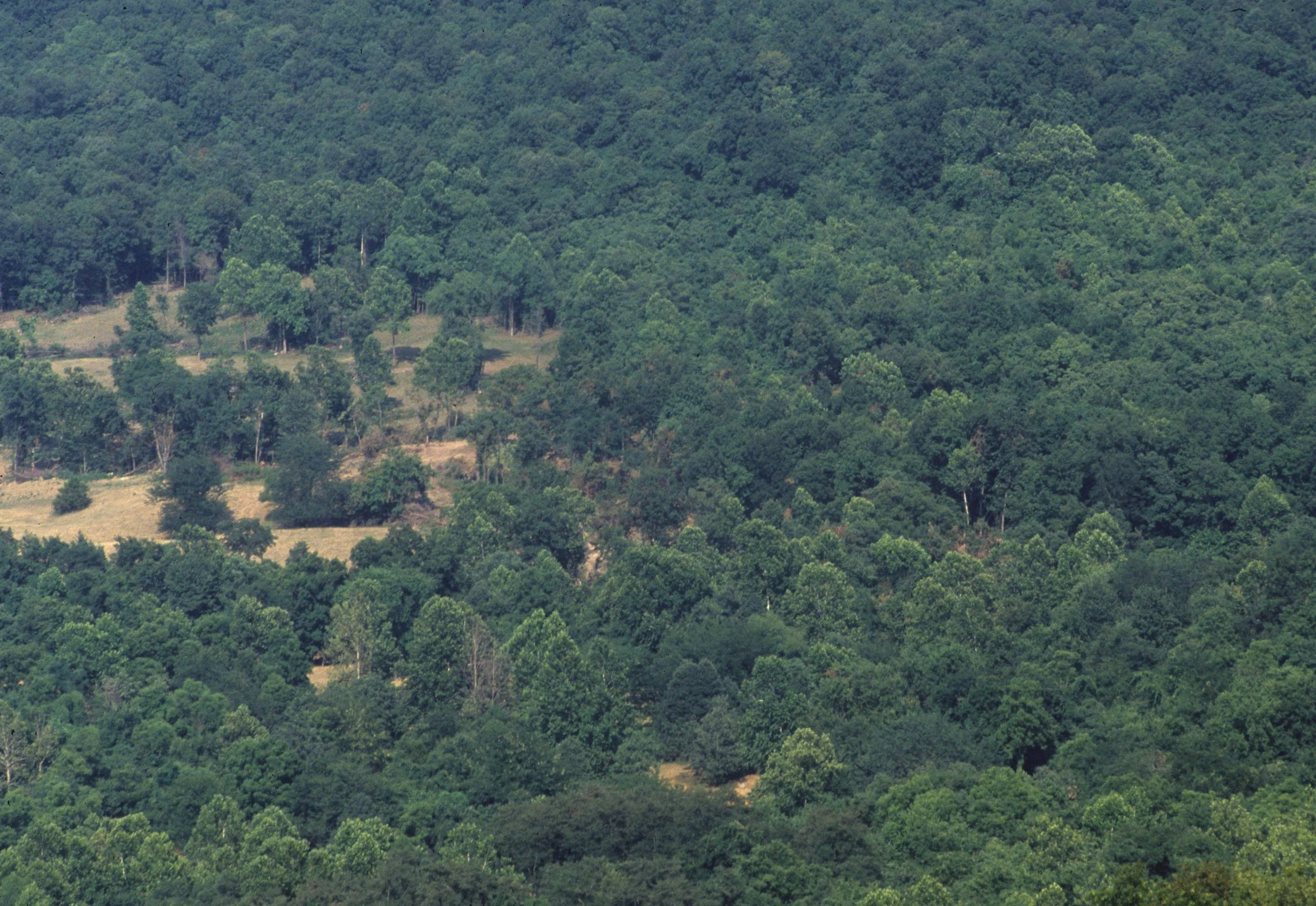 ARKANSAS - BUFFALO SPRINGS NM D.jpg