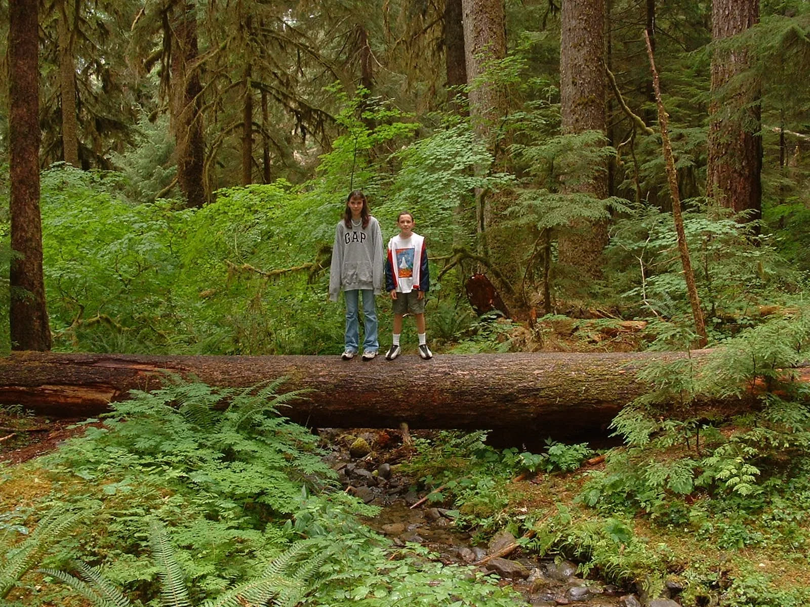 2003-8-1 WASHINGTON VISIT FROM ROBINSONS ET AL (184).JPG