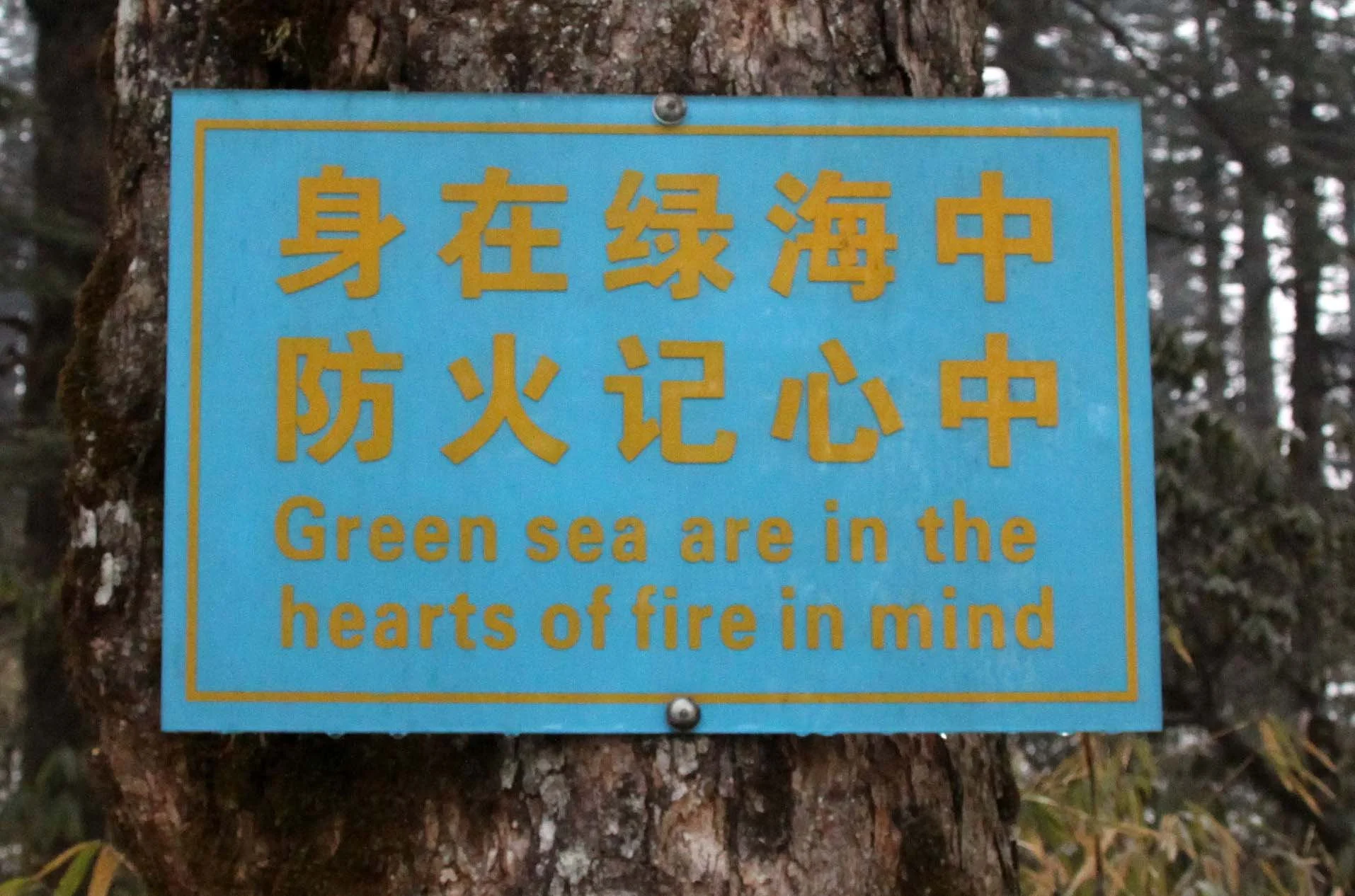 WAWU SHAN GEOPARK - SICHUAN CHINA (21).JPG