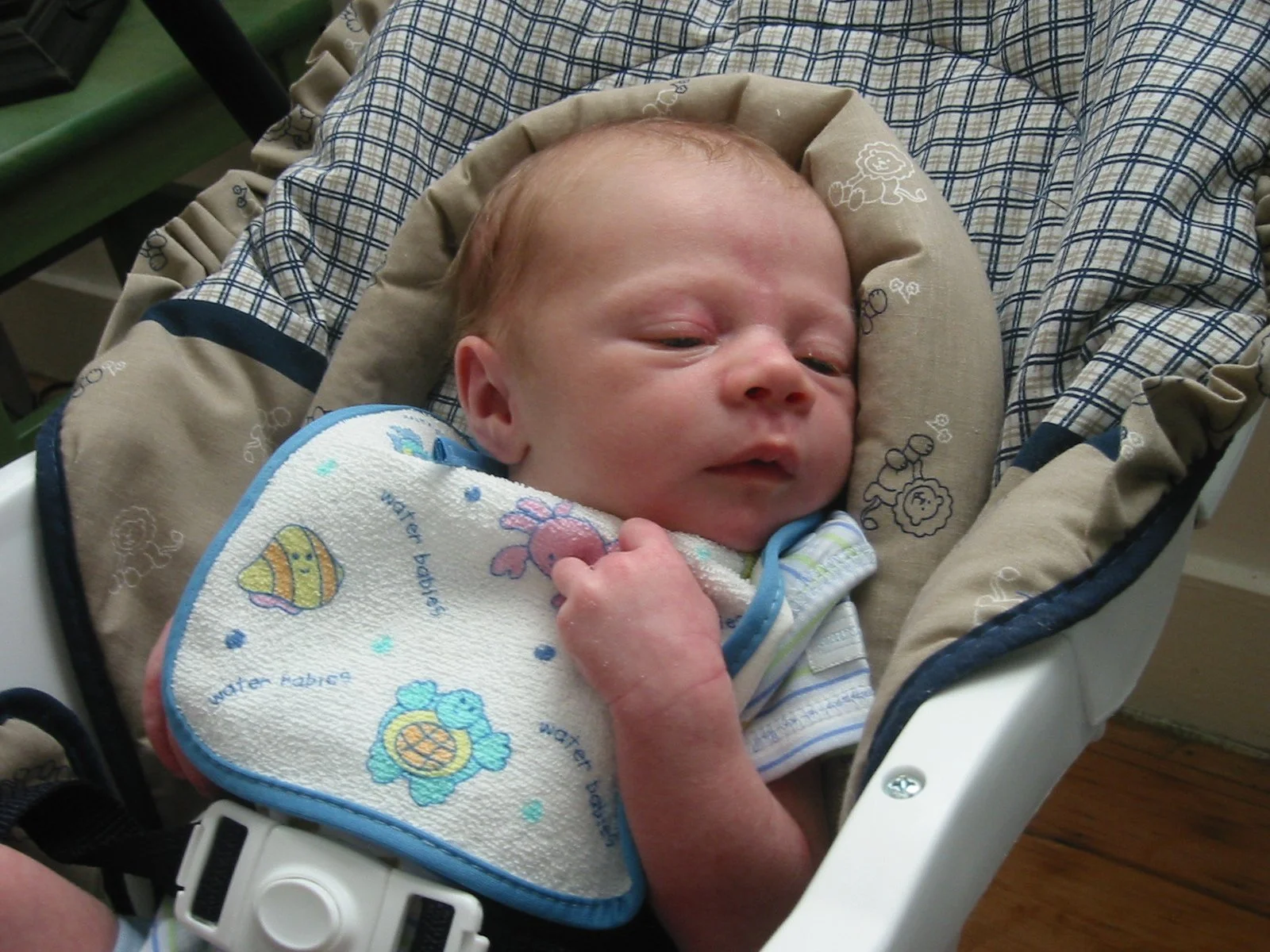 2003-4-1 SPRING TRIP TO SACRAMENTO (62).JPG