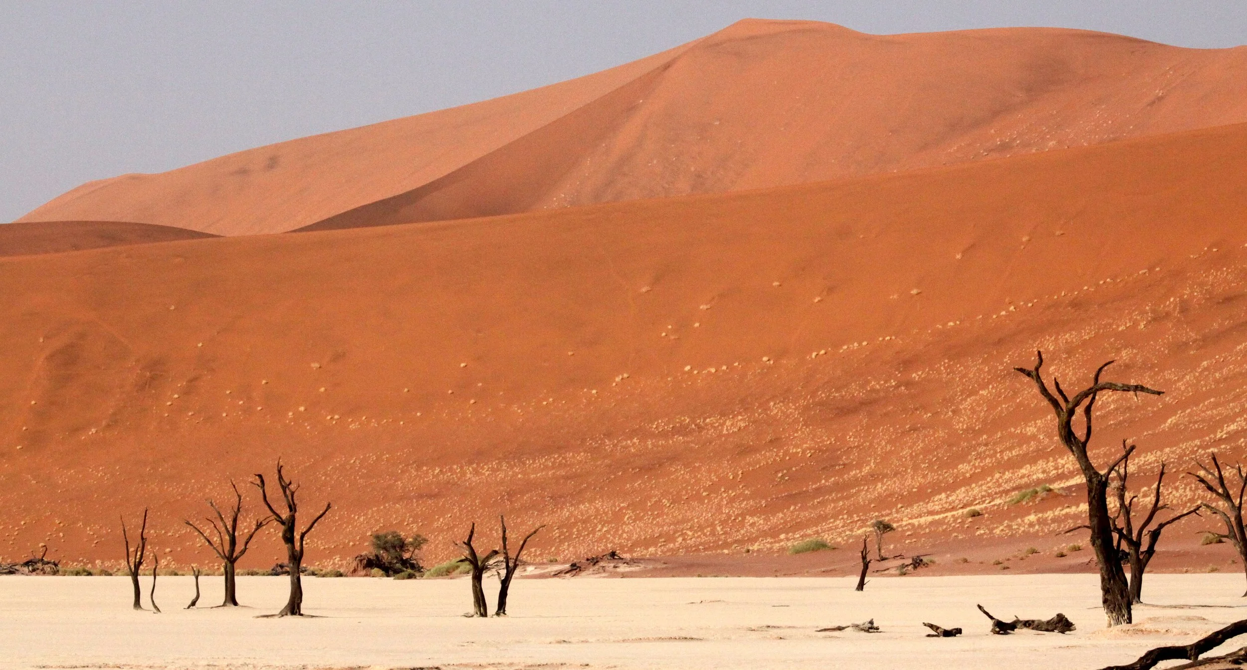 SOSSUSVLEI, NAMIB NAUKLUFT NATIONAL PARK, NAMIBIA - DEAD VLEI (67).JPG