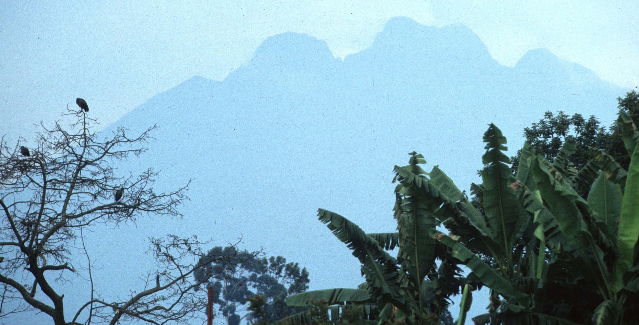 RWANDA COUNTRYSIDE 5.jpg