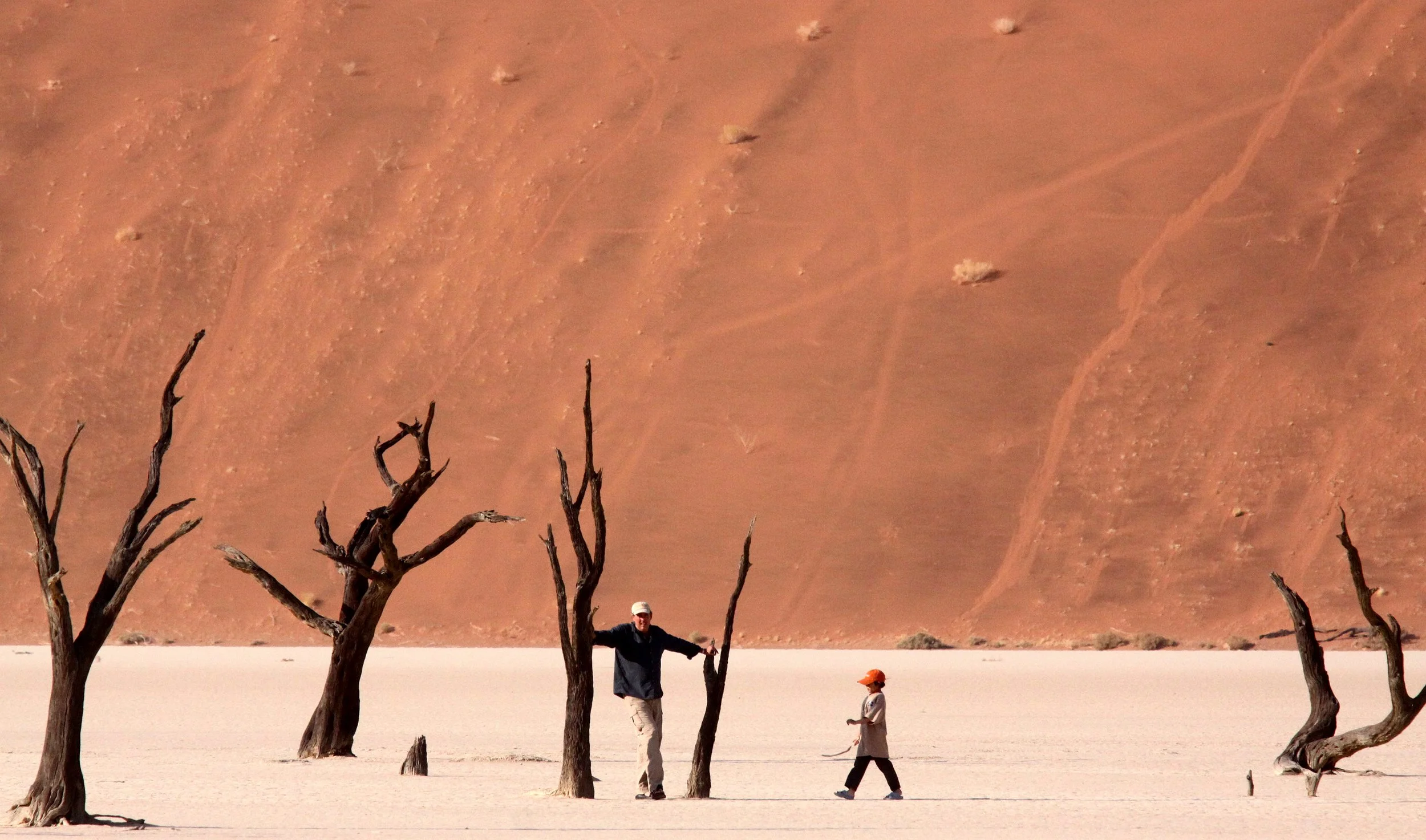 SOSSUSVLEI, NAMIB NAUKLUFT NATIONAL PARK, NAMIBIA - DEAD VLEI (44).JPG