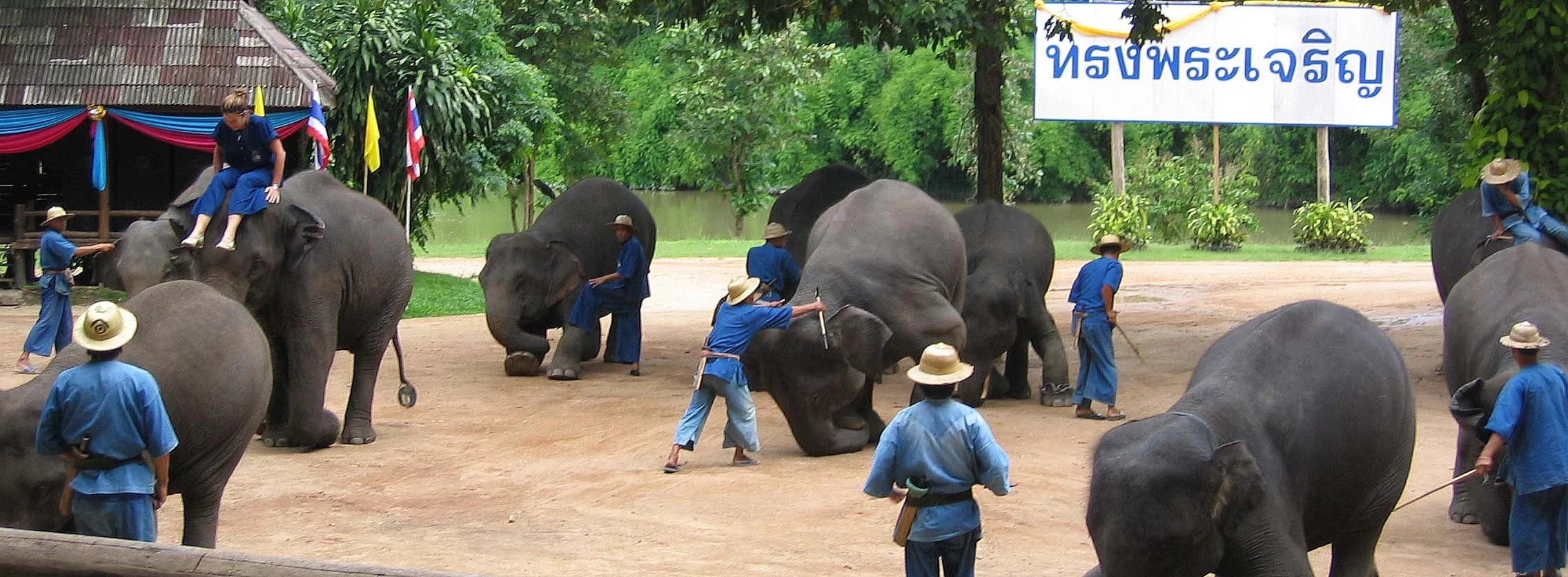 2008 Lampang City & Elephant Center (134).jpg