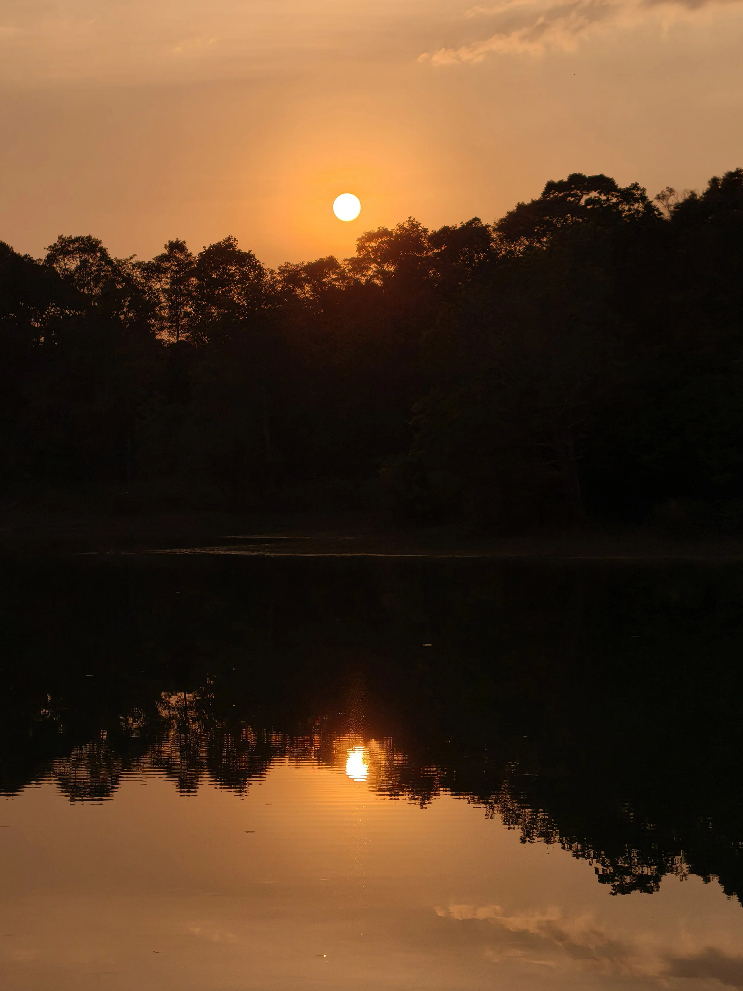 Khao Yai National Park, Thailand (215).jpg