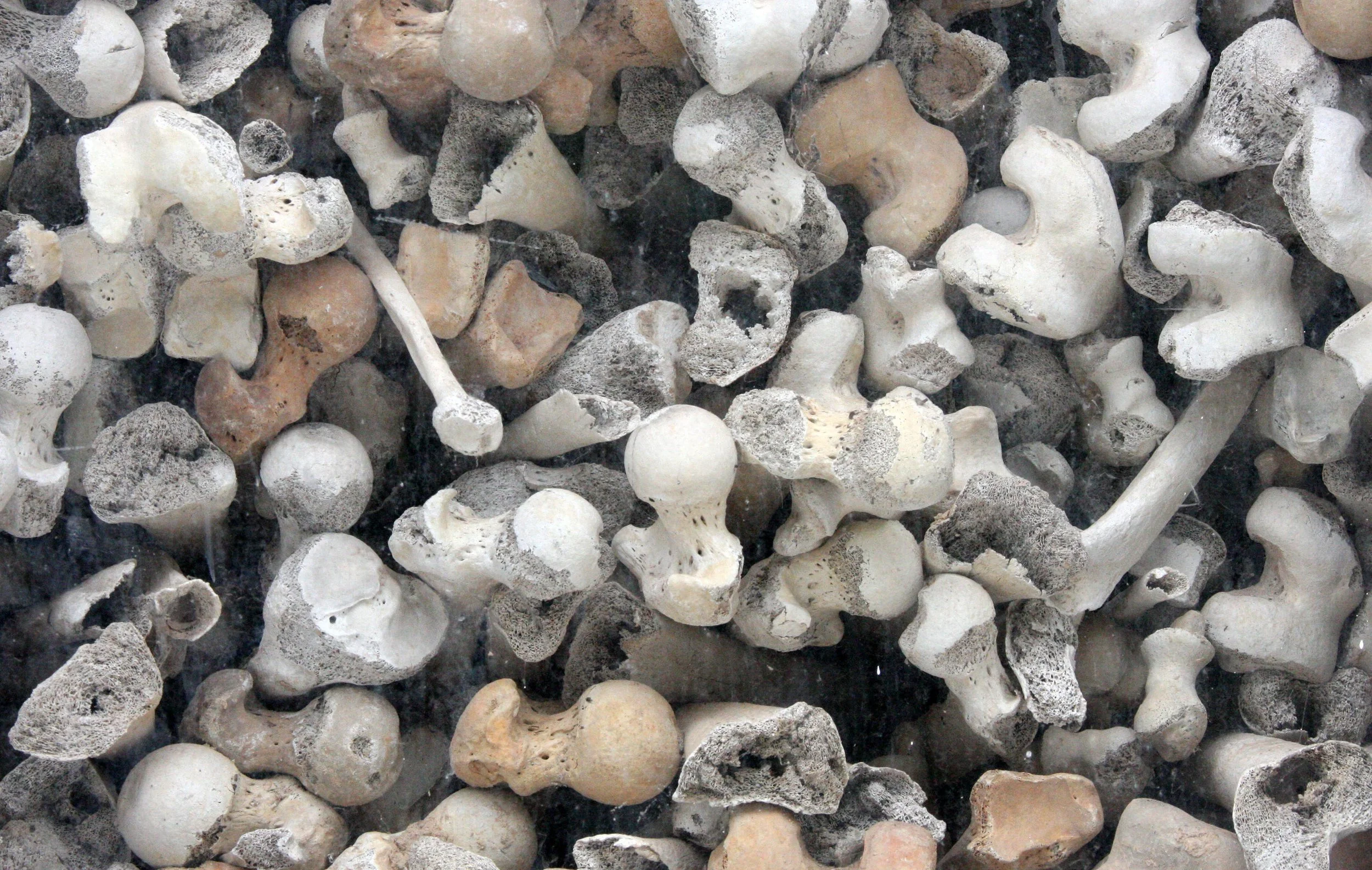 KILLING FIELDS CAMBODIA - SIEM REAP  (4).JPG