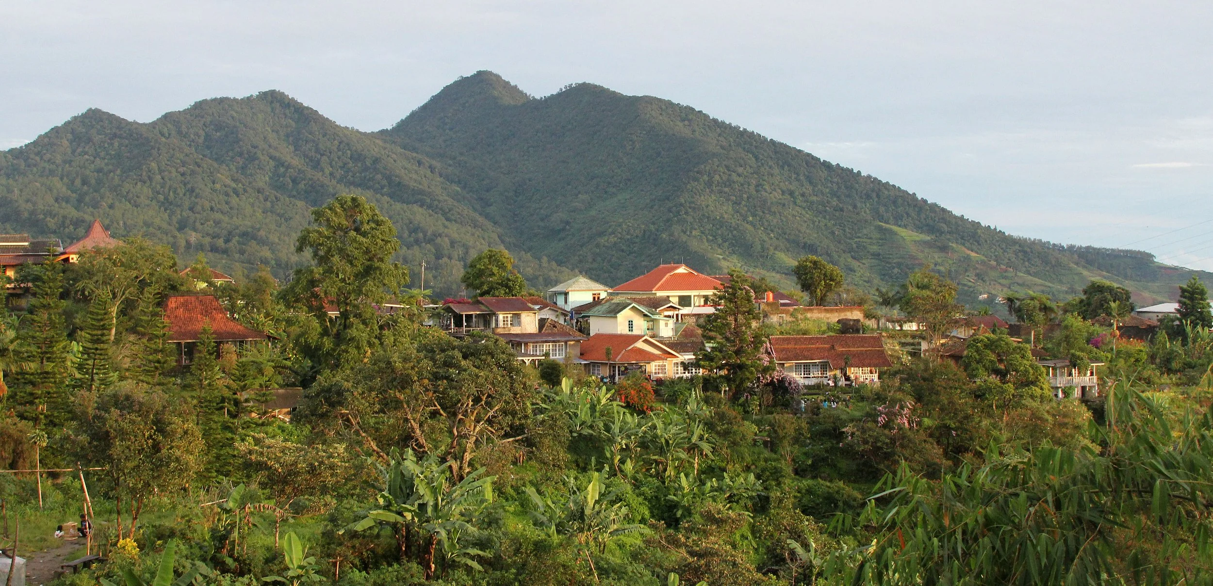  Inkara Lodge at Cibodas