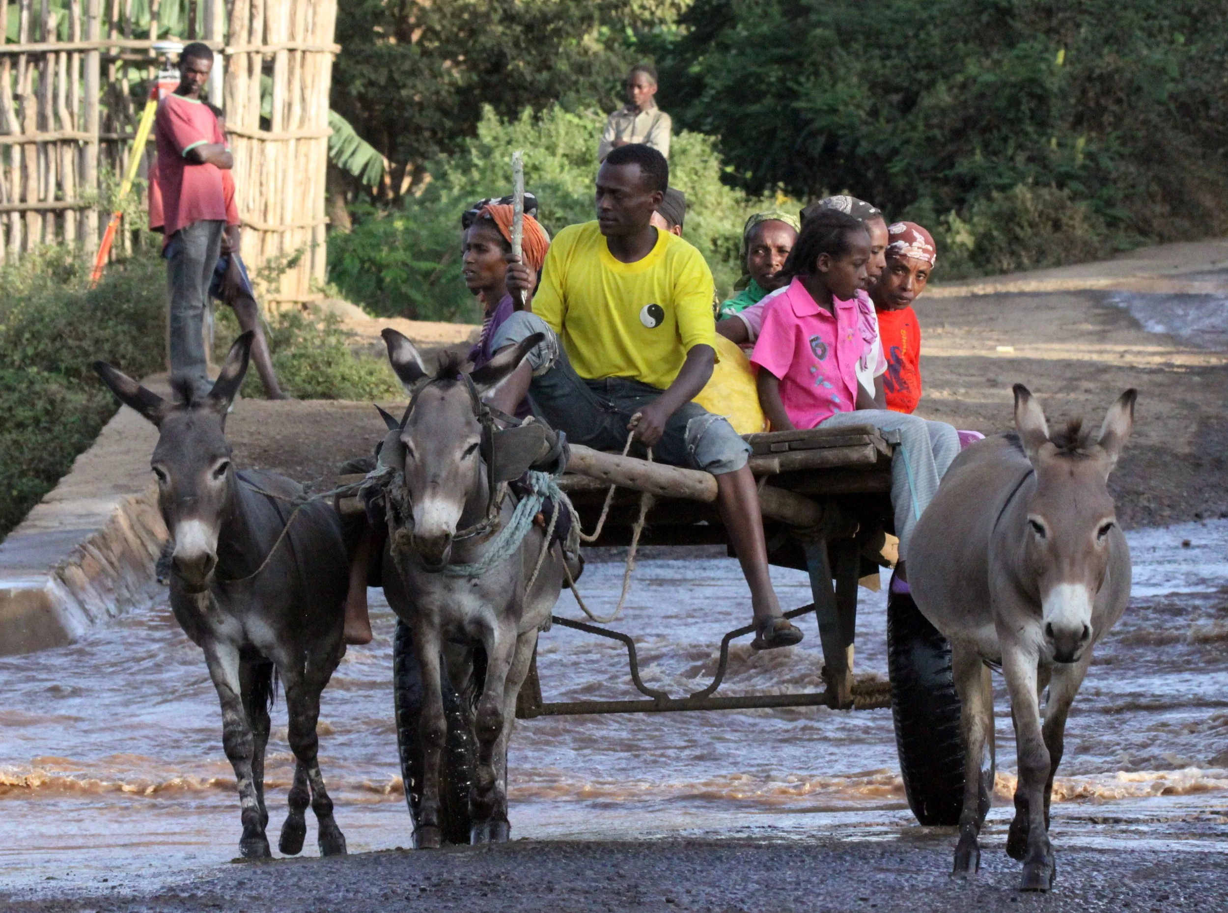 ARBAMINCH ETHIOPIA 2012 (120).JPG