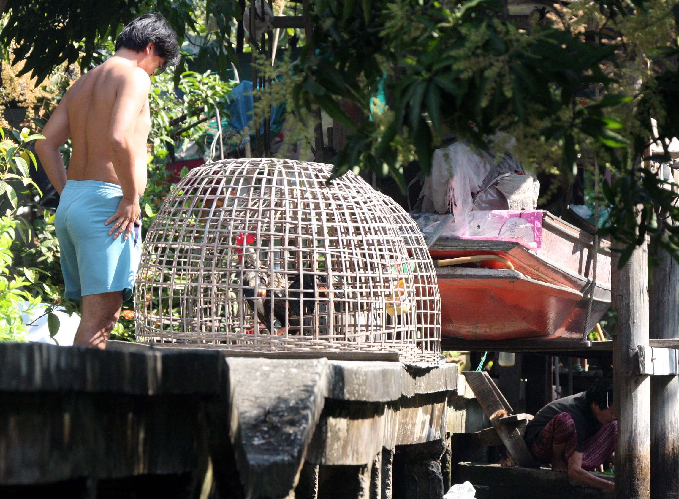 2008 Damnoen Saduak Floating Market Day Trip (48).JPG