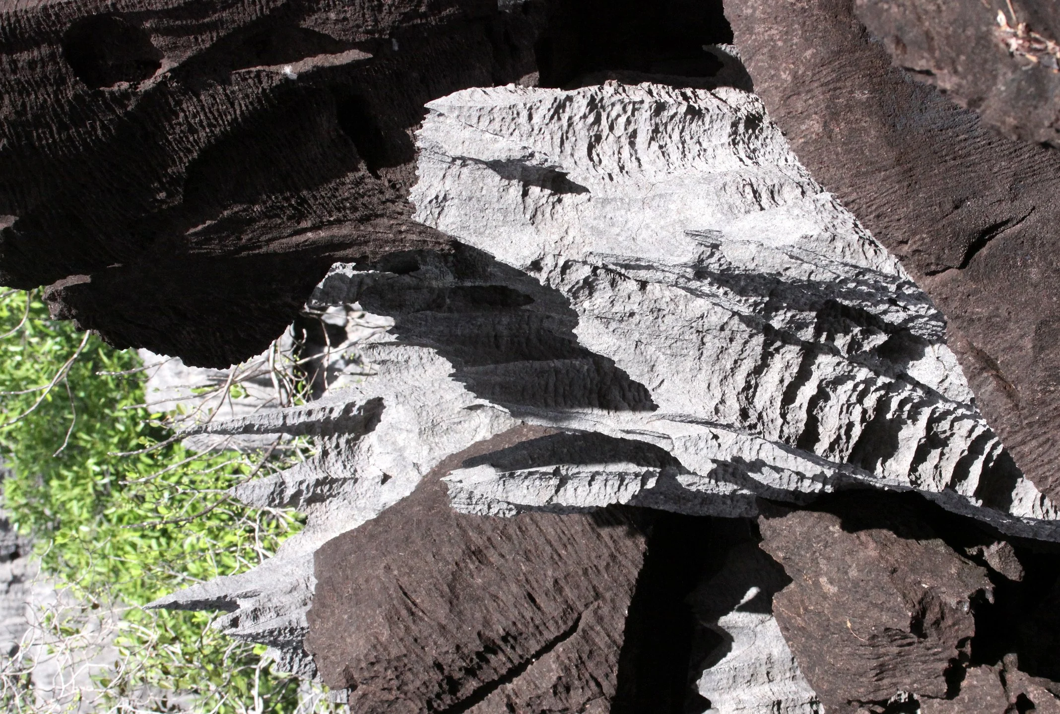 ANKARANA NATIONAL PARK MADAGASCAR - TSINGY FOREST (43).JPG