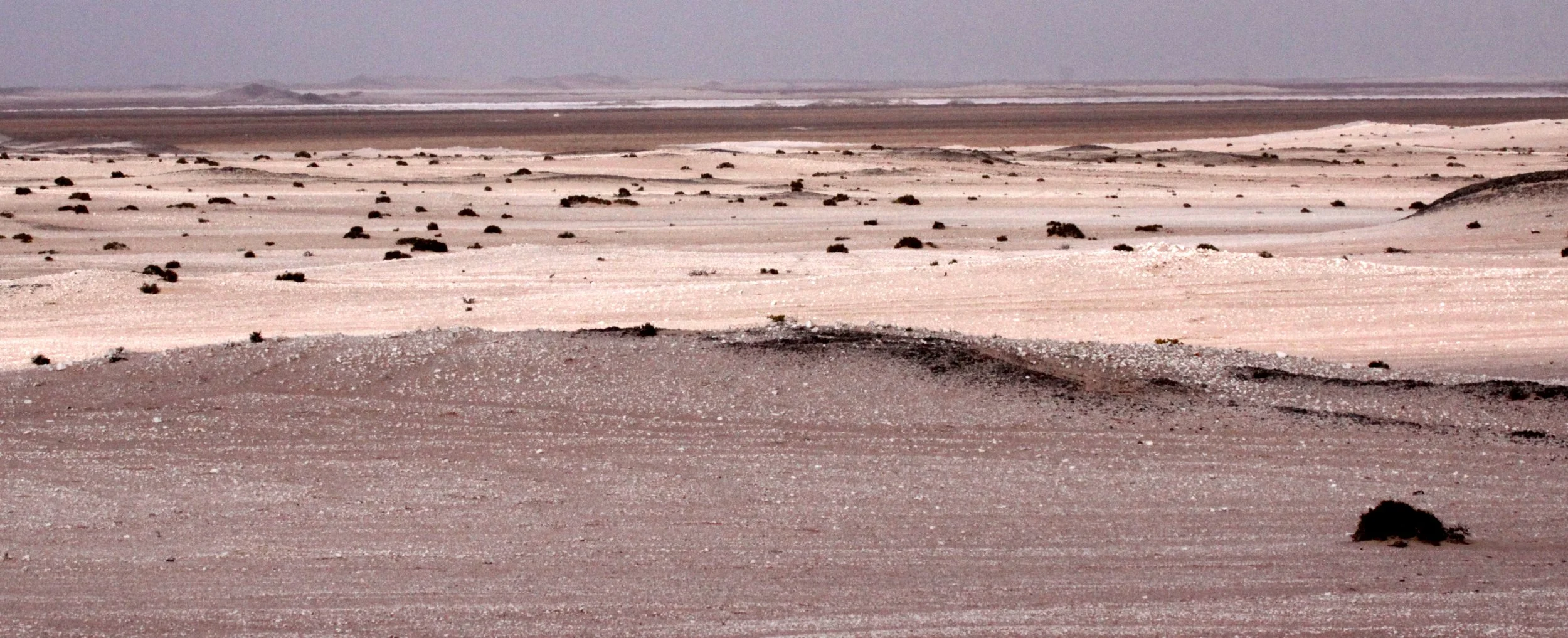 NAMIBIA - SKELETON COAST NATIONAL PARK - SCENERY (28).JPG