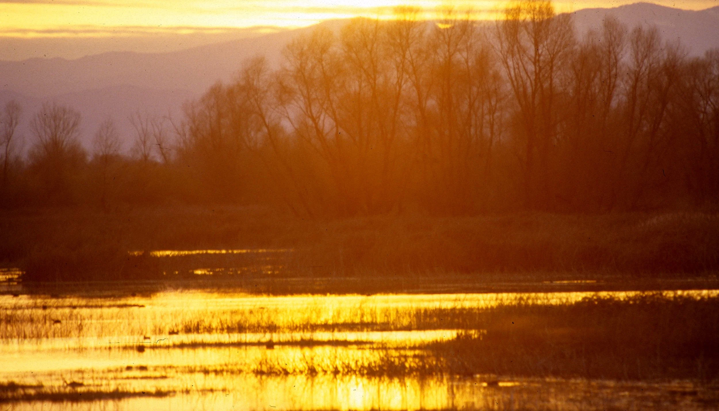 CALIFORNIA - KLAMMATH BASIN SUNSET H.jpg