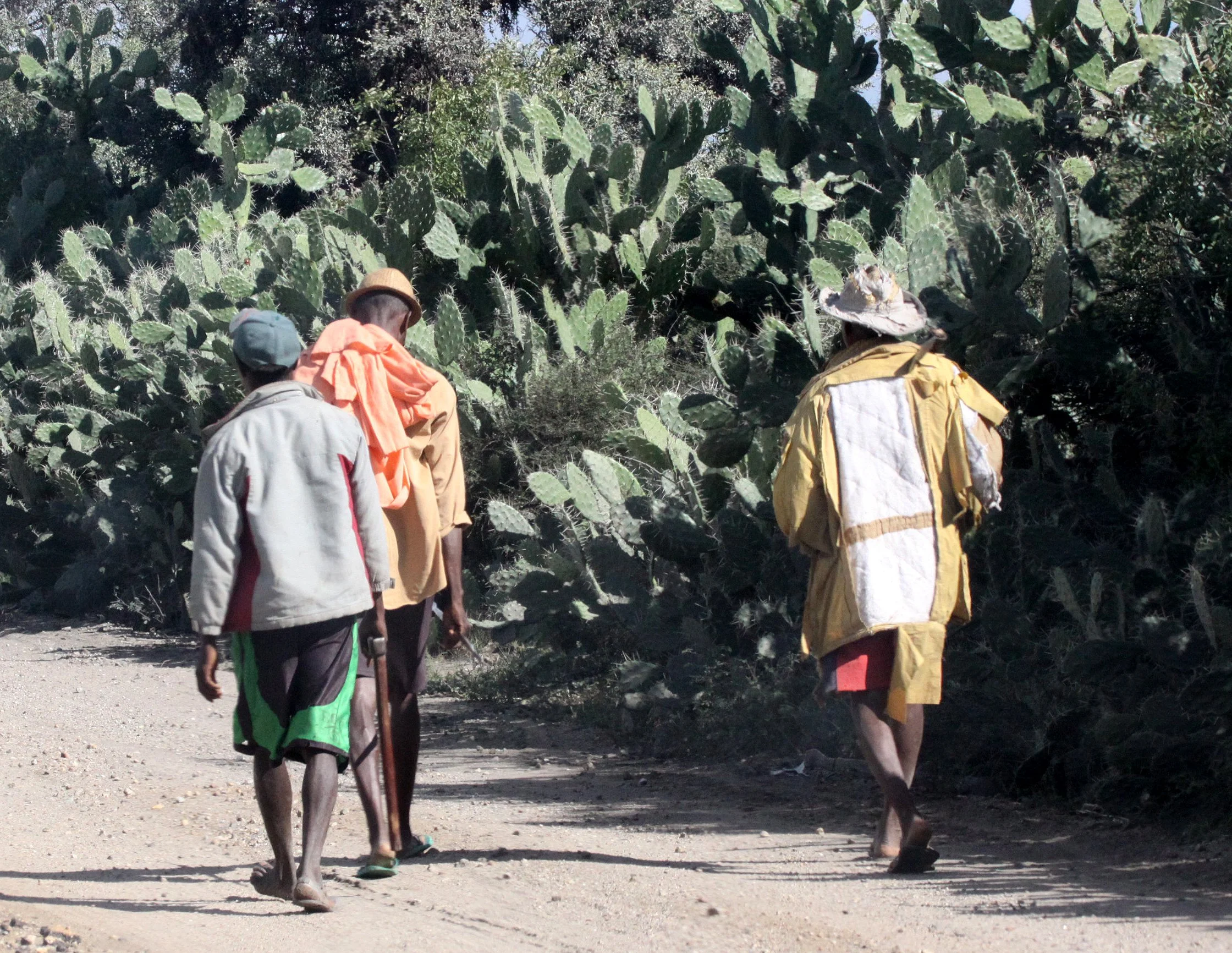 ANTANDROY VILLAGE - ZEBU MARKET DAY.JPG