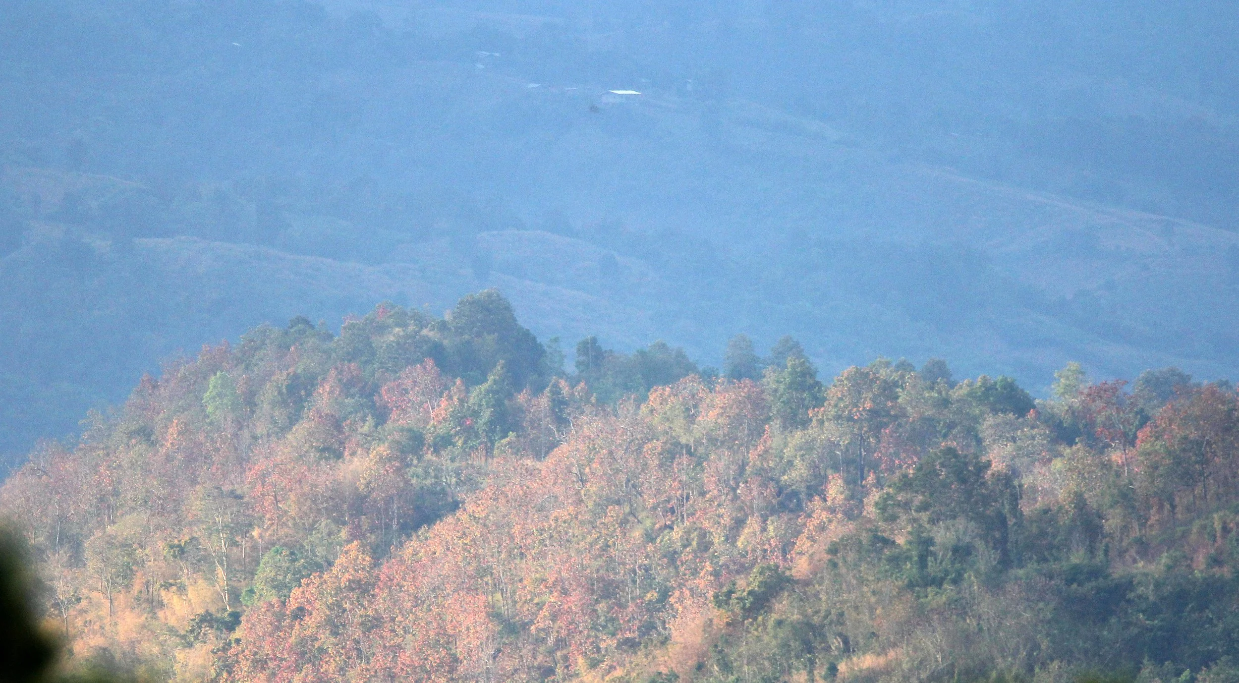 2018 Dan Sai Loei Province Northern Thailand Road Trip (9).JPG