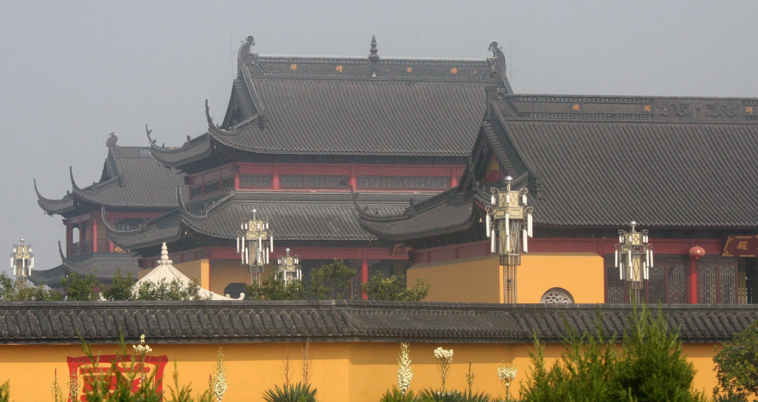 RUDONG CHINA -  BIRDING TRIP - 15-17 OCTOBER 2010 (140).JPG