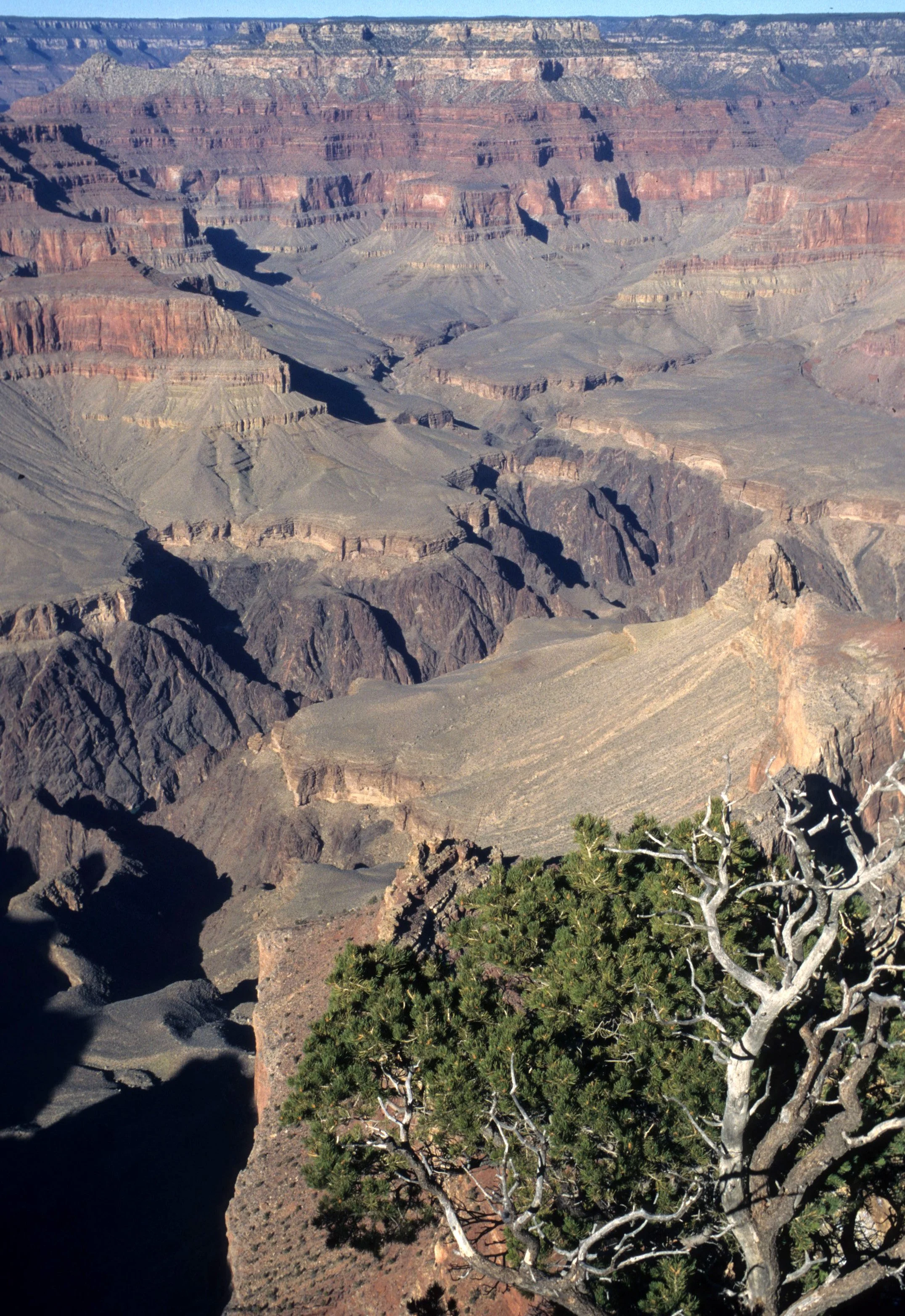 ARIZONA - GRAND CANYON NATIONAL PK (29).jpg