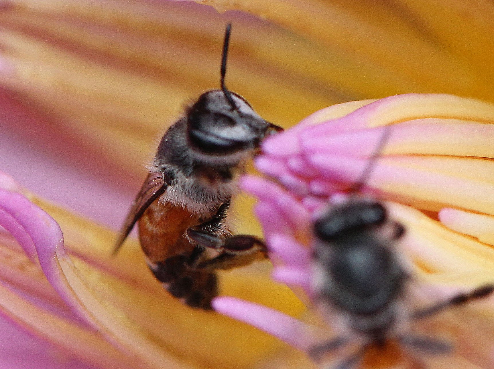 2013 Cha'am and Petchaburi with Family & Friends (47).JPG