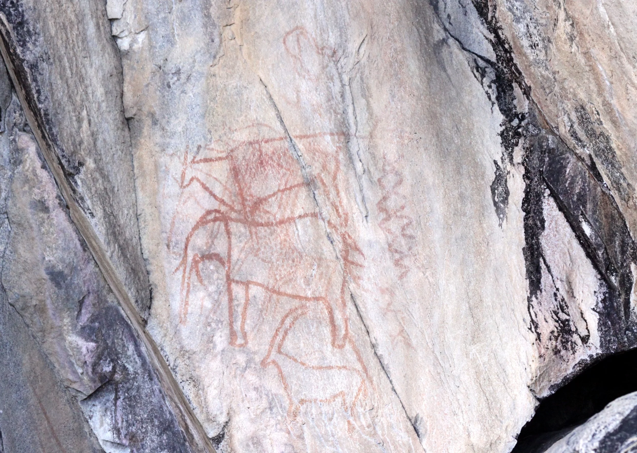 CHOBE NATIONAL PARK BOTSWANA - BUSHMAN ART - SAVUTI (3).JPG