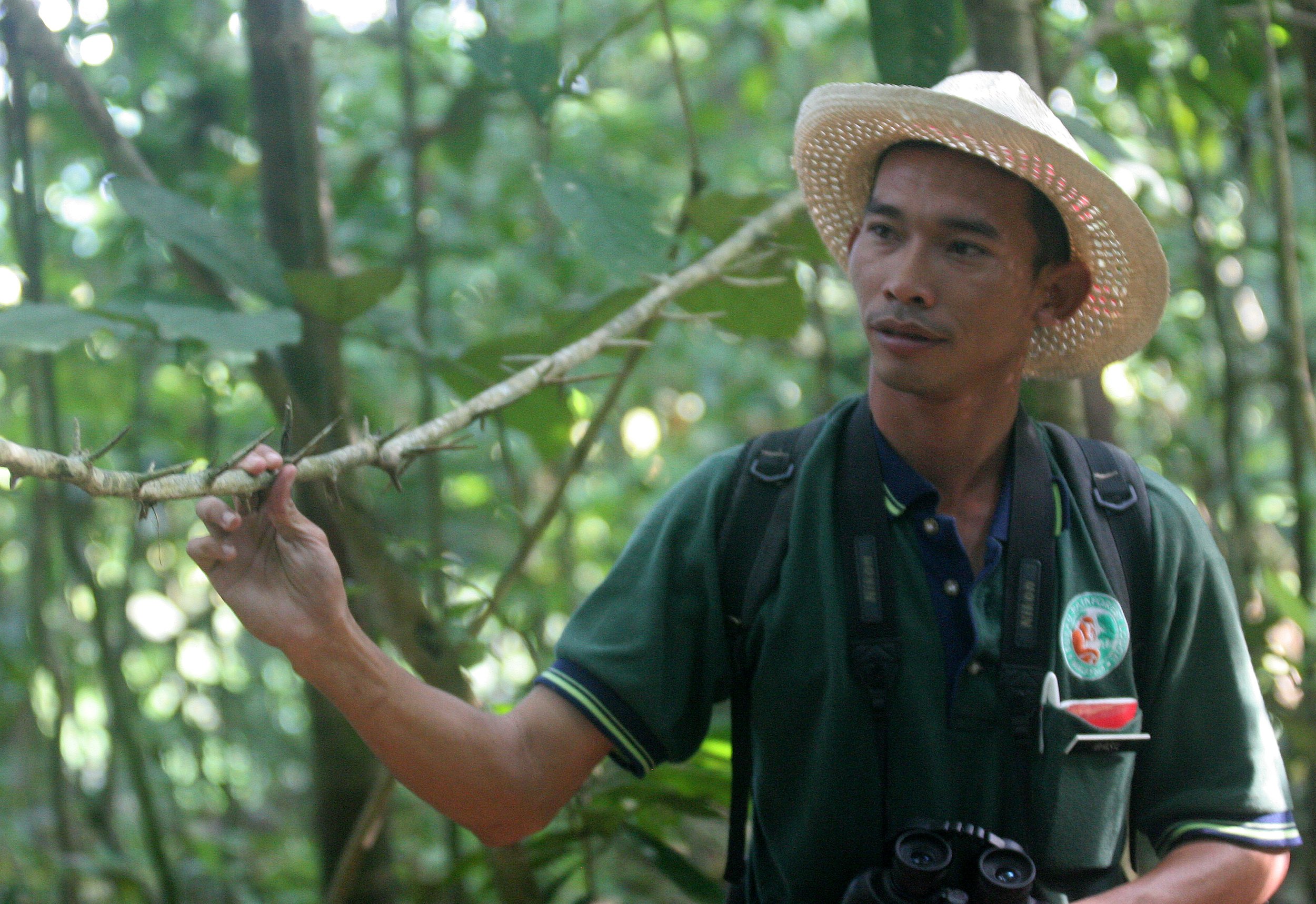 KINABATANGAN RIVER BORNEO - JUNGLE TREK (5).JPG