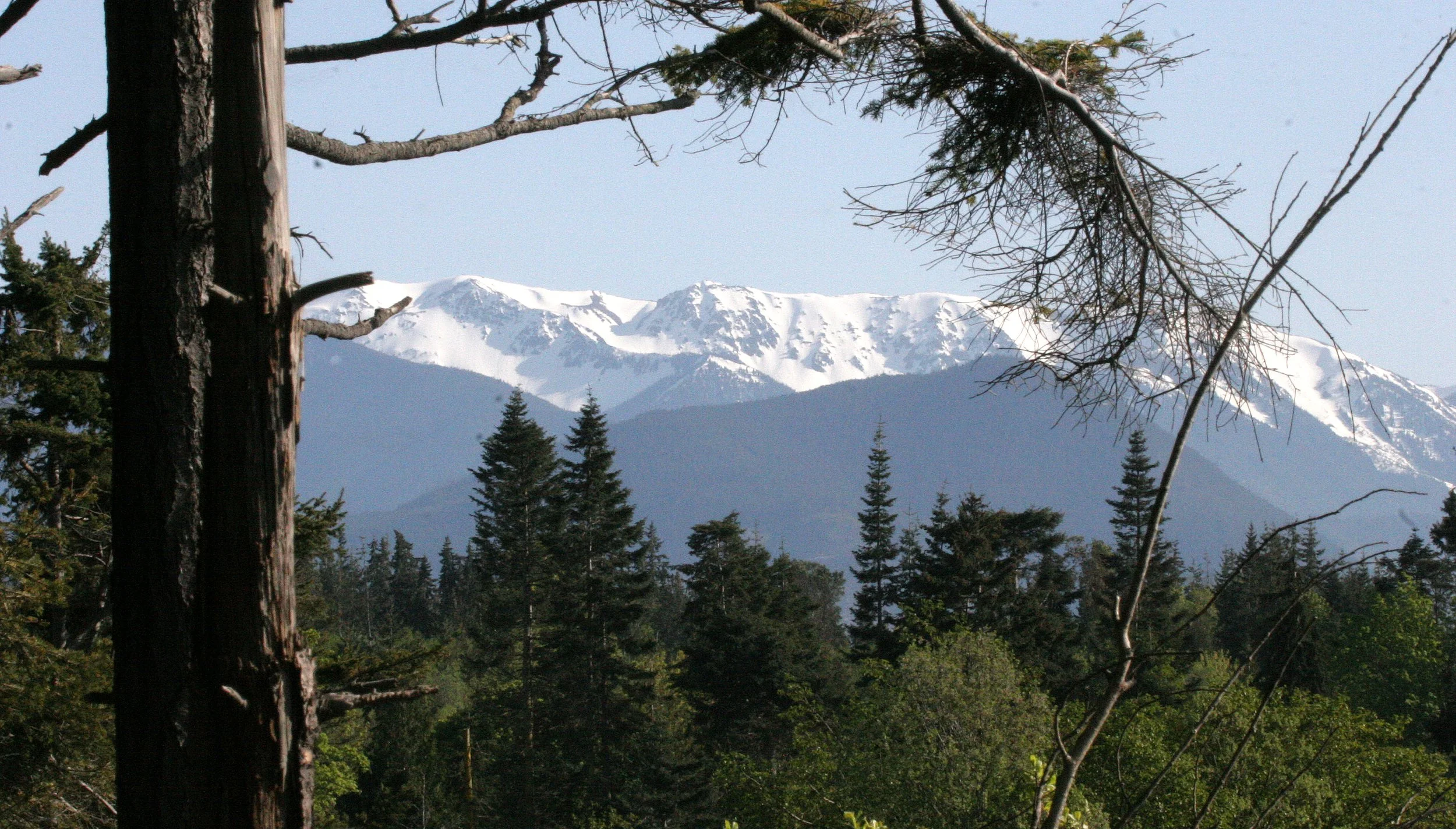 KLAHANE RIDGE FROM LAKE FARM  (4).JPG