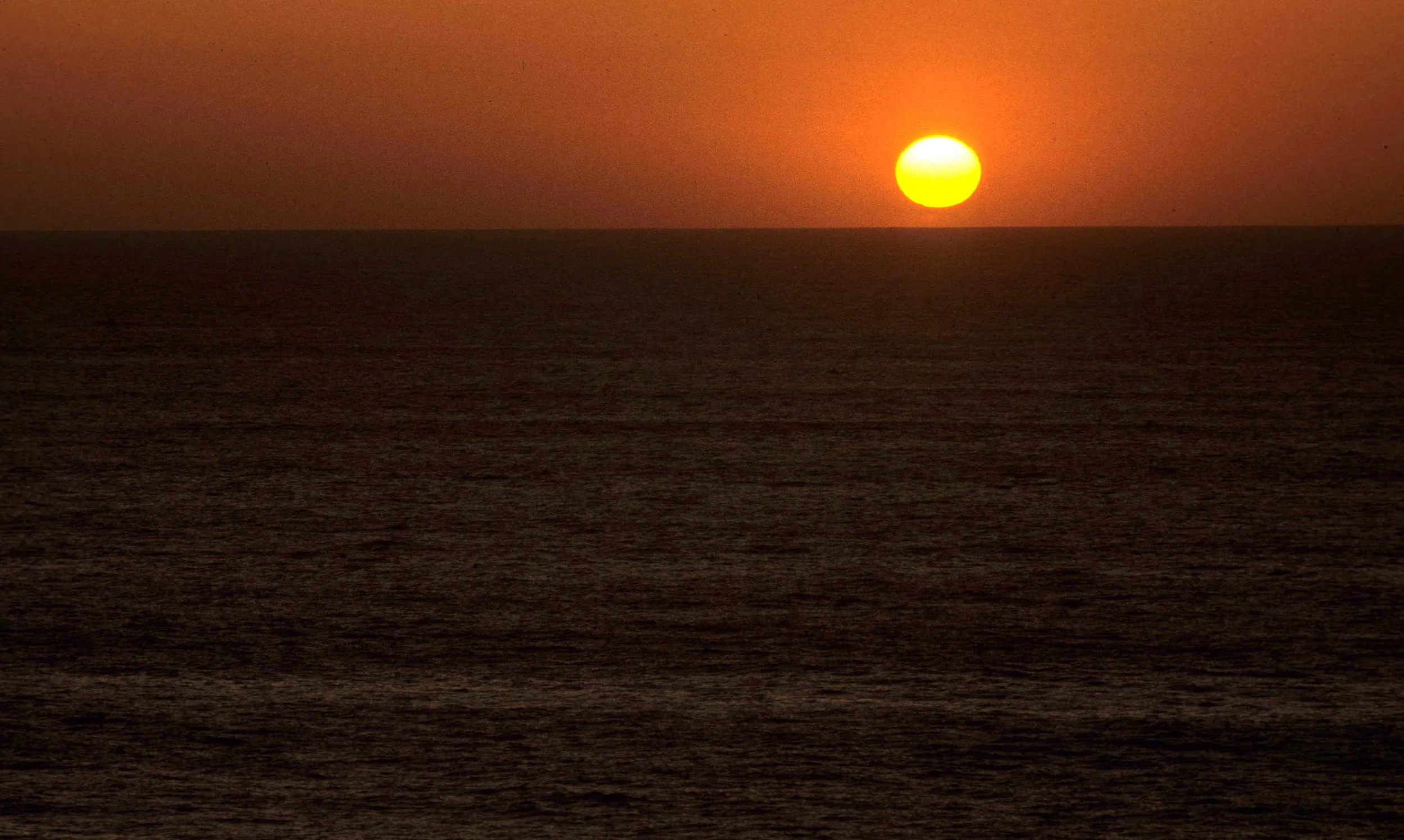 CALIFORNIA - REDWOODS NP - SUNSET (3).jpg