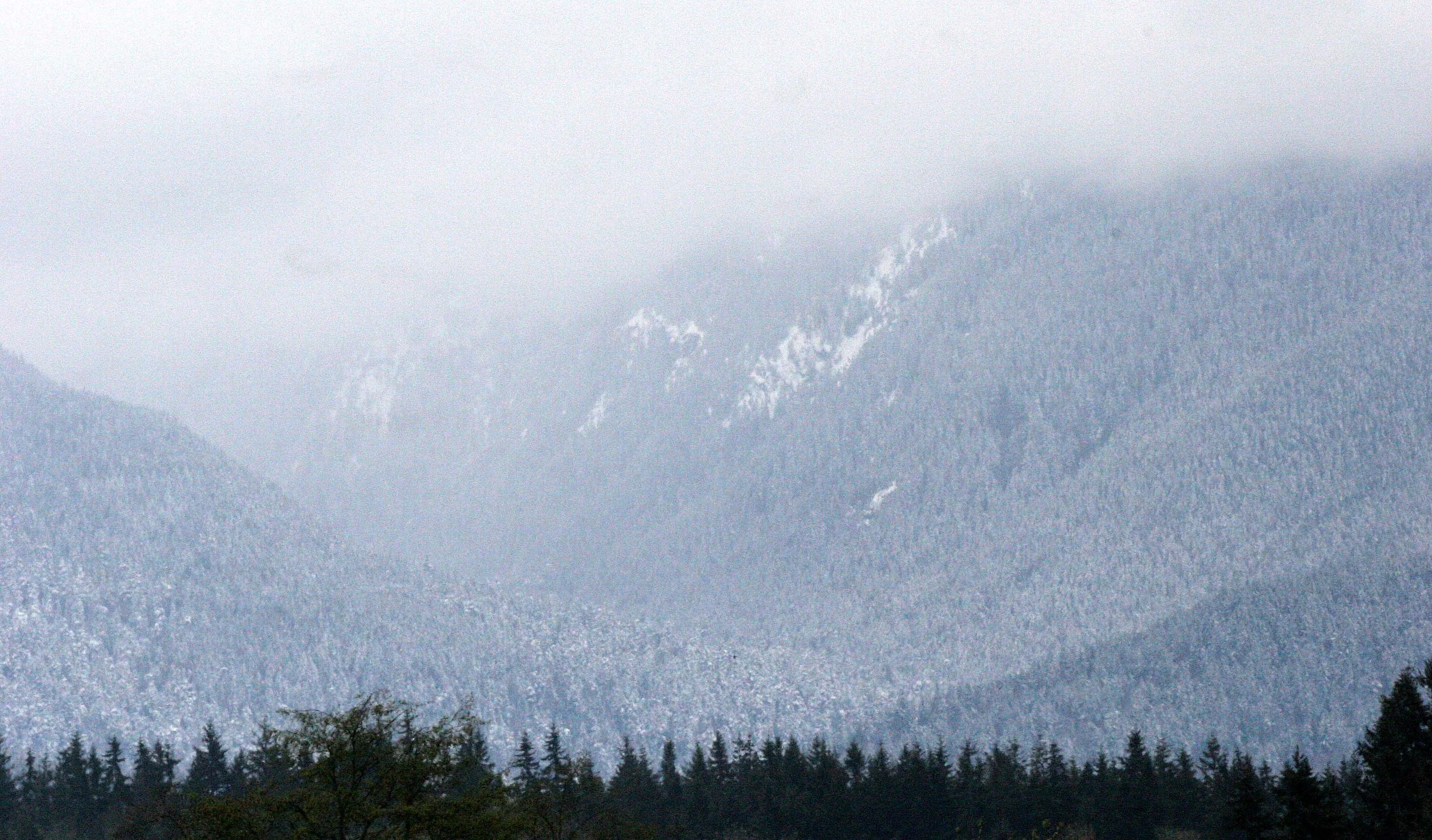KLAHANE RIDGE FROM LAKE FARM  (7).JPG