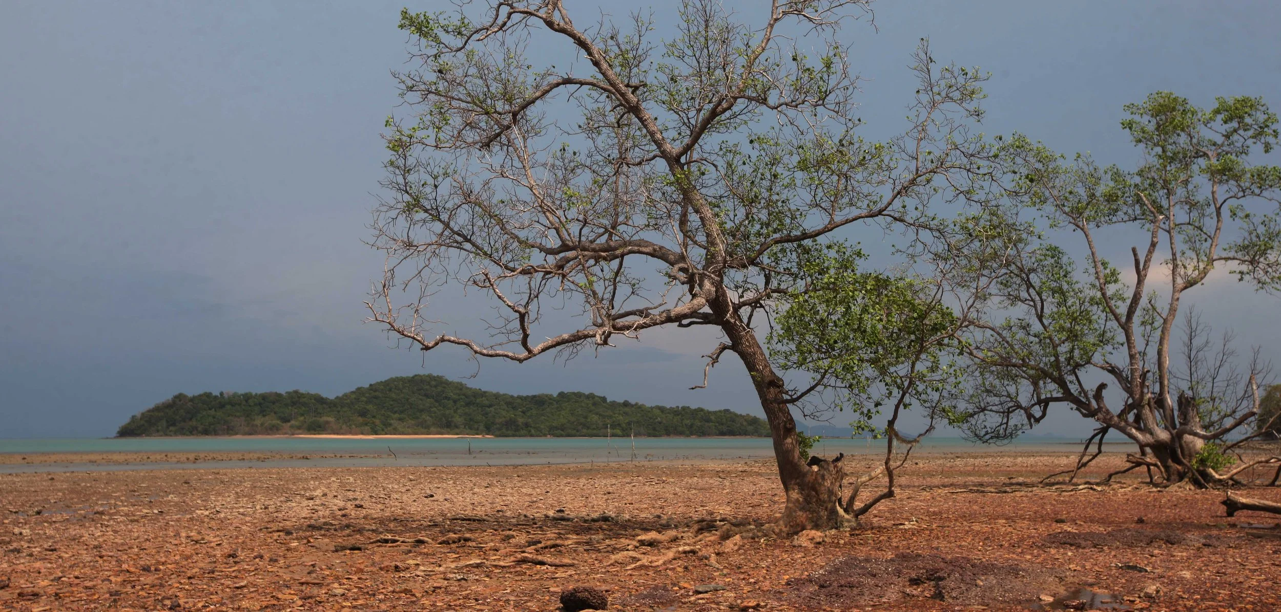 2015 Koh Lanta Songkran with friends from ISB (77).JPG