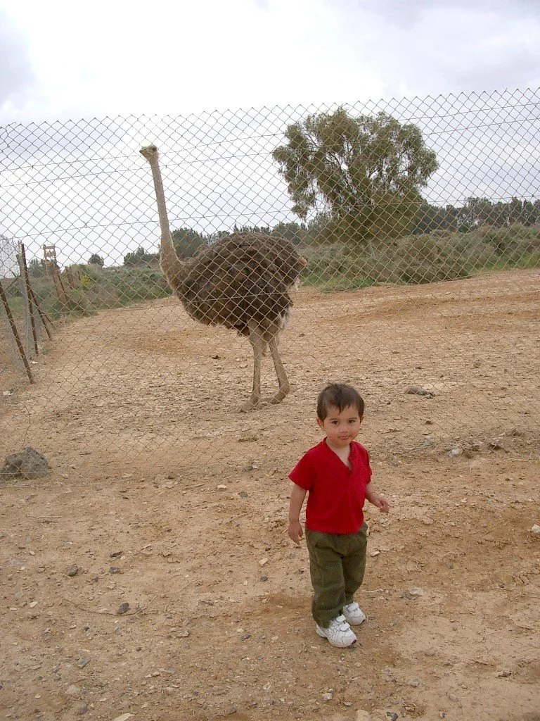 SHAUMARI CAPTIVE BREEDING CENTER A.JPG