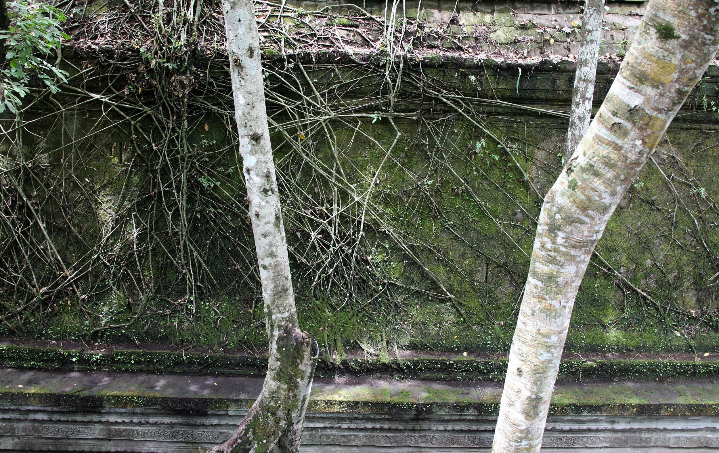 BENG MEALEA - CAMBODIA - JULY 2010 (38).JPG