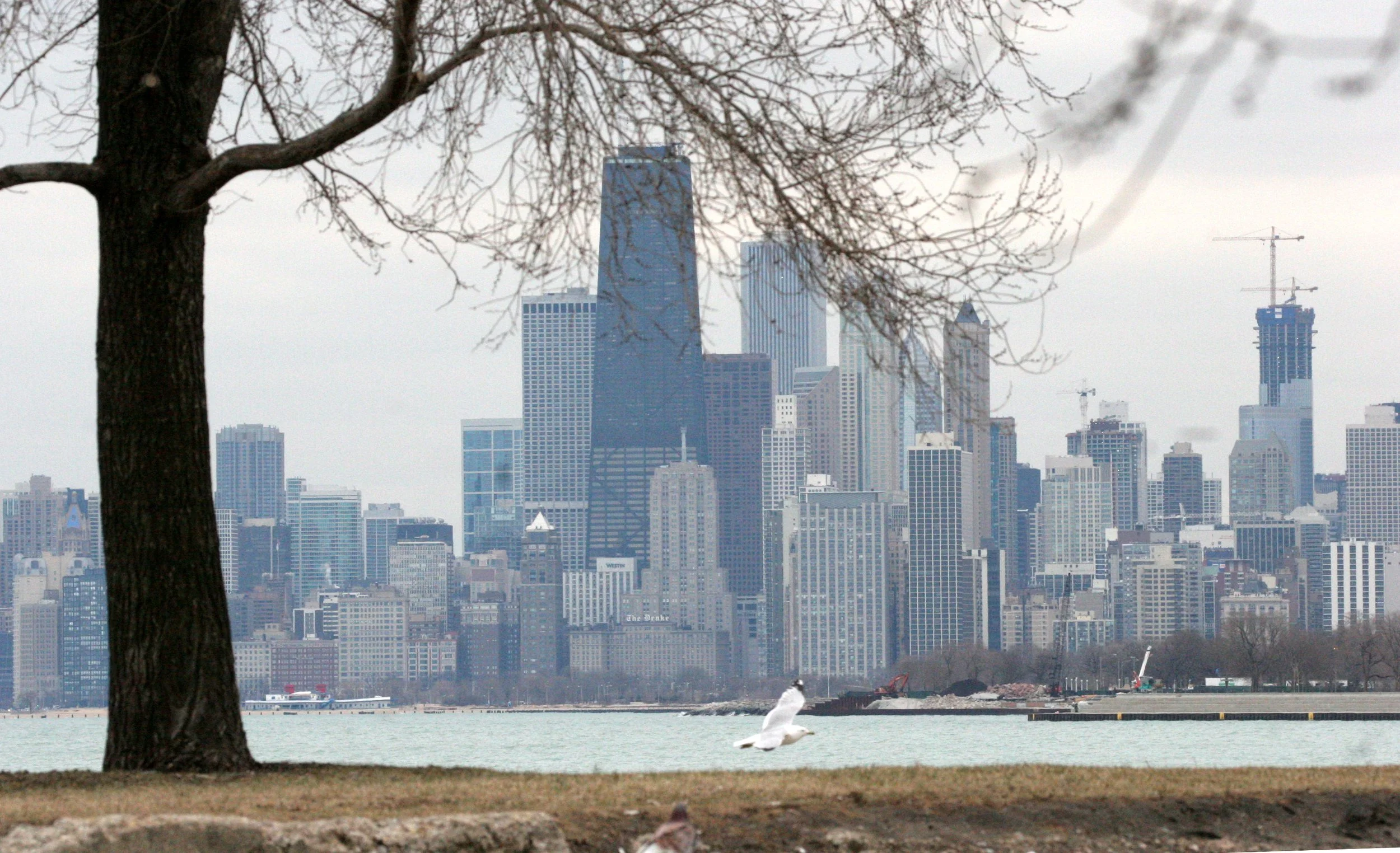 2008-4-1 CHICAGO SPRING TRIP - LAKESHORE (2).JPG