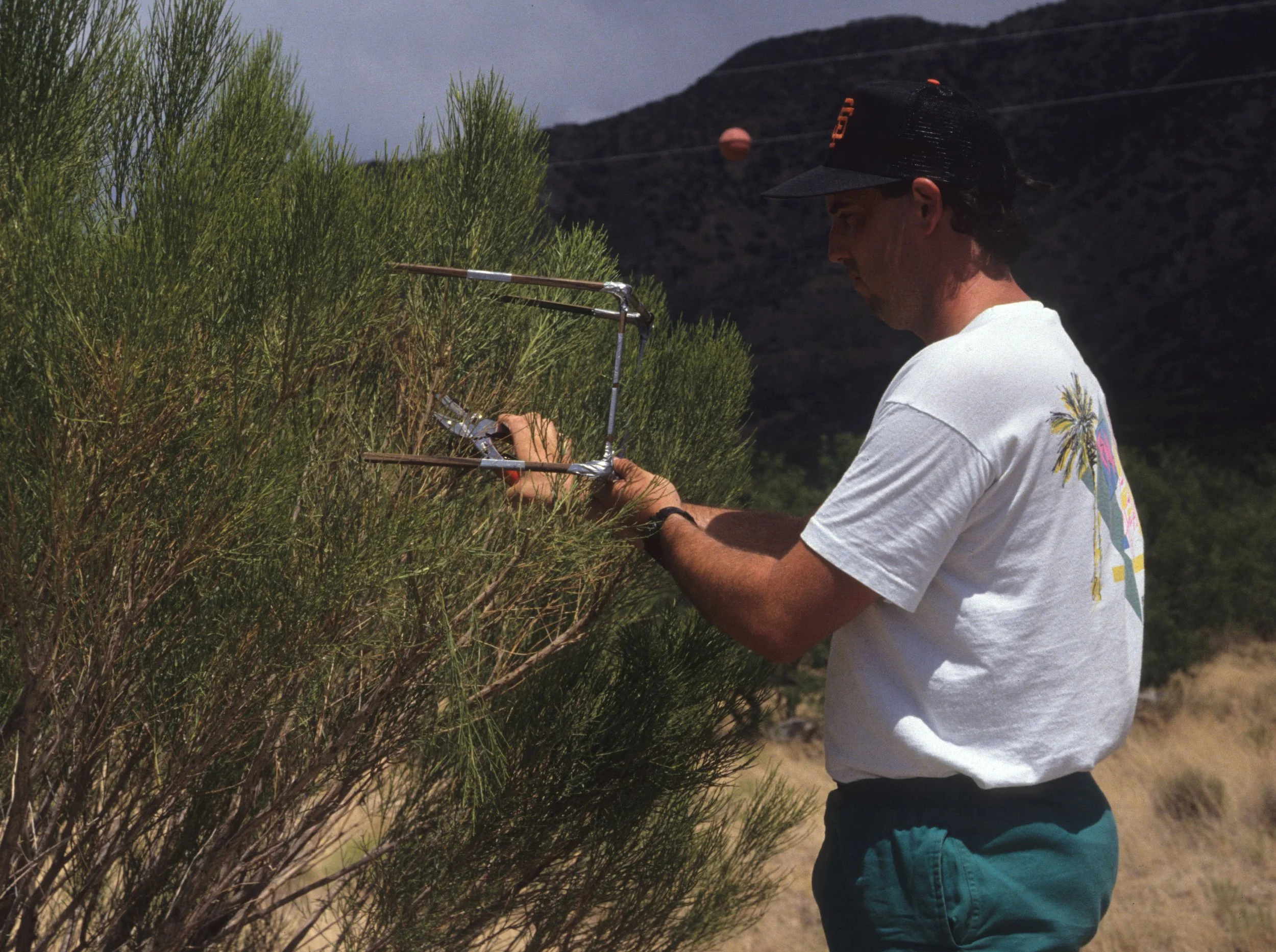 ARIZONA - MADERA CANYON - RESEARCH - DATA COLLECTION P.jpg
