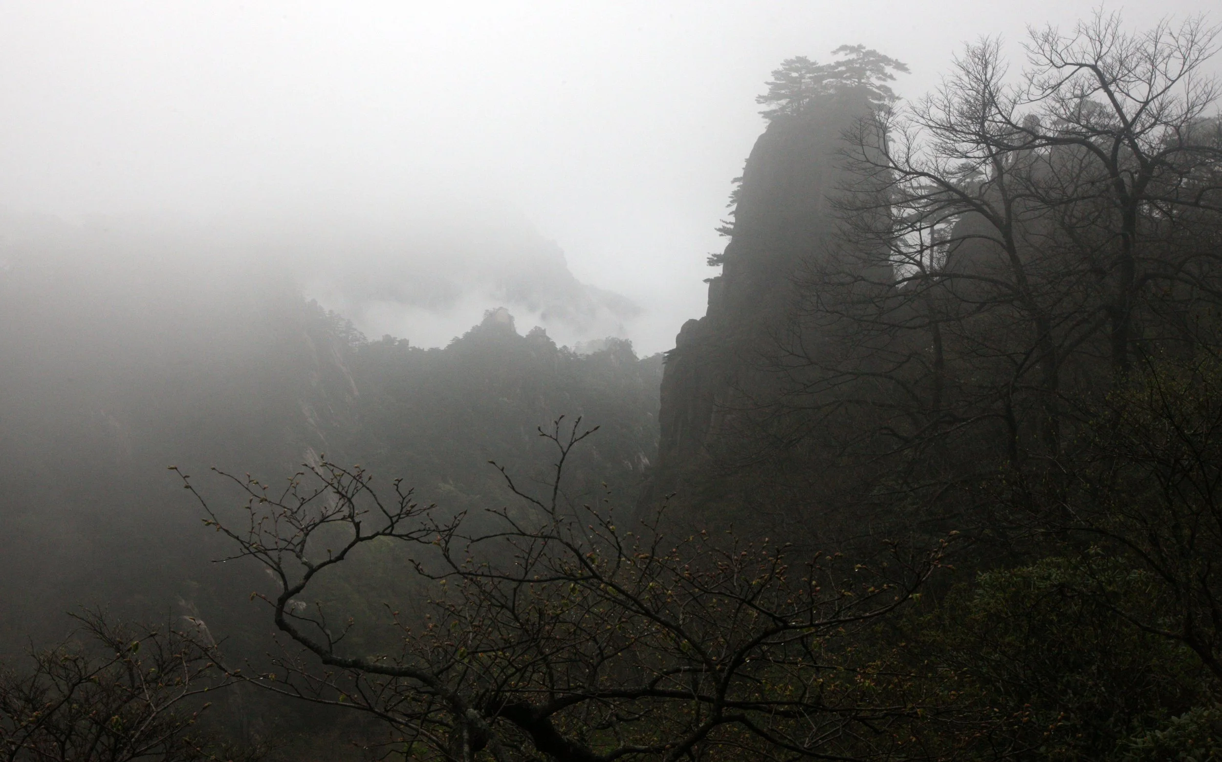 HUANGSHAN NATIONAL PARK ANHUI PROVINCE CHINA (232).JPG