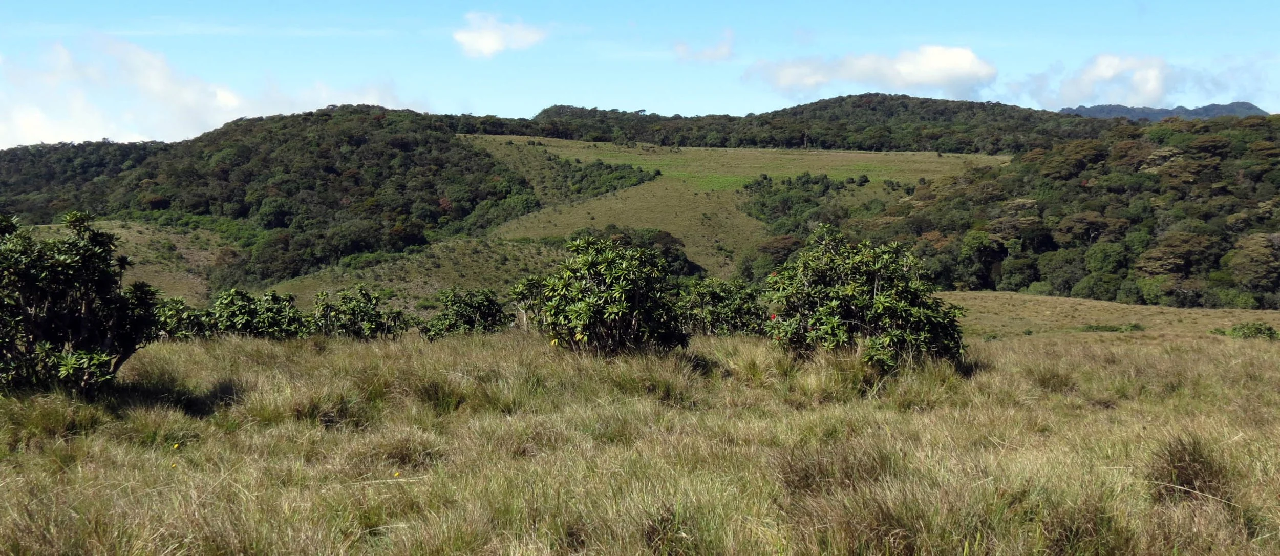 HORTON PLAIN NATIONAL PARK SRI LANKA (18).JPG