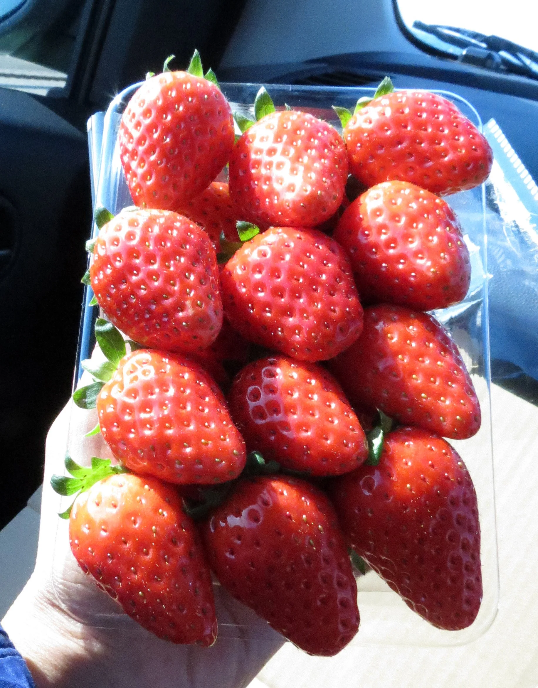 FOOD - SHIZUOKA STRAWBERRIES (3).JPG