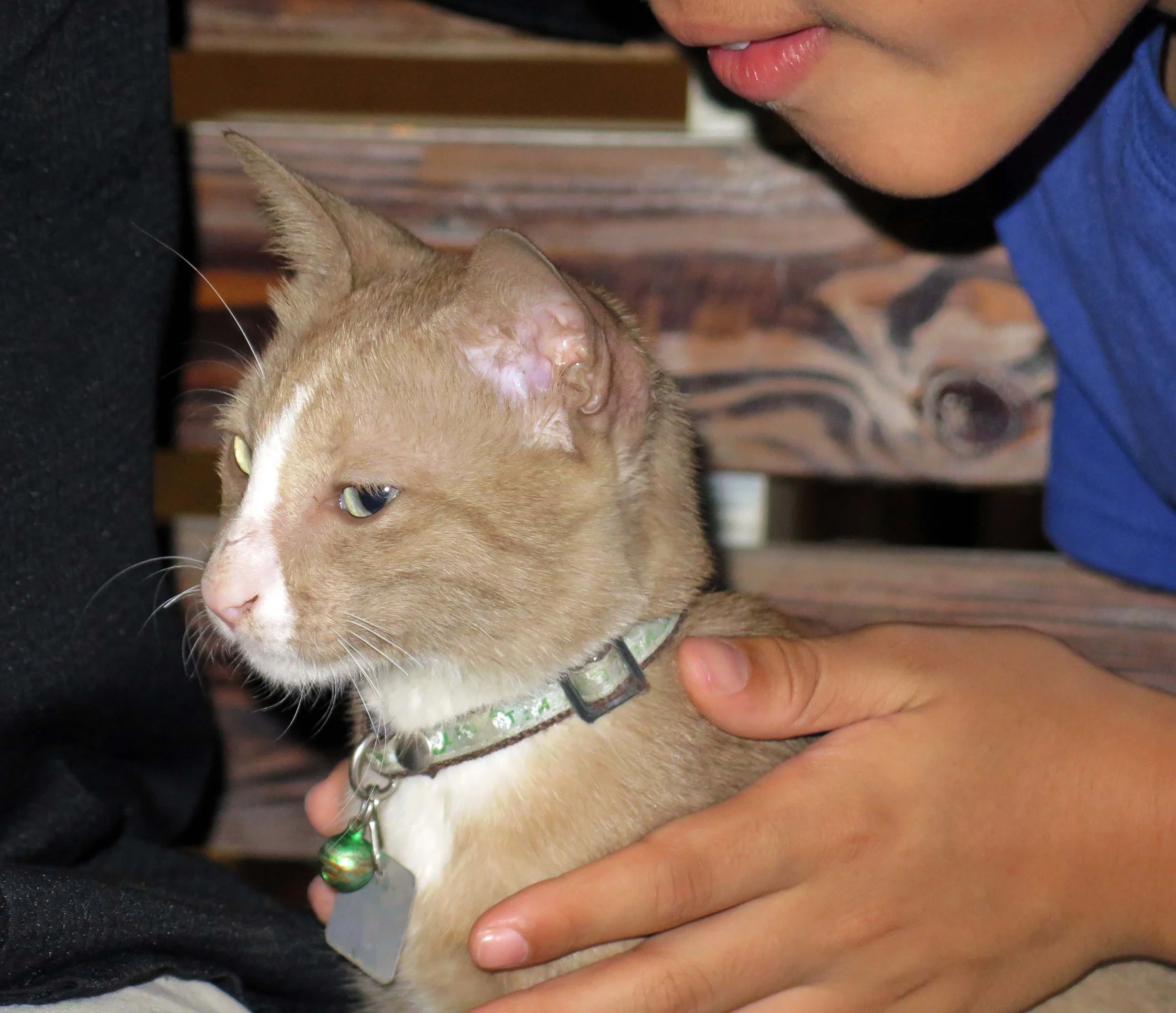 2013 - BANGKOK - NOVEMBER 2013 - MARCH 2014 (52).JPG