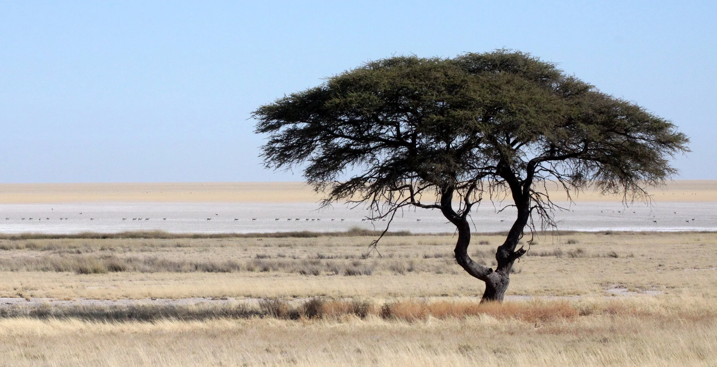 ETOSHA NATIONAL PARK NAMIBIA - ETOSHA PAN (4).JPG
