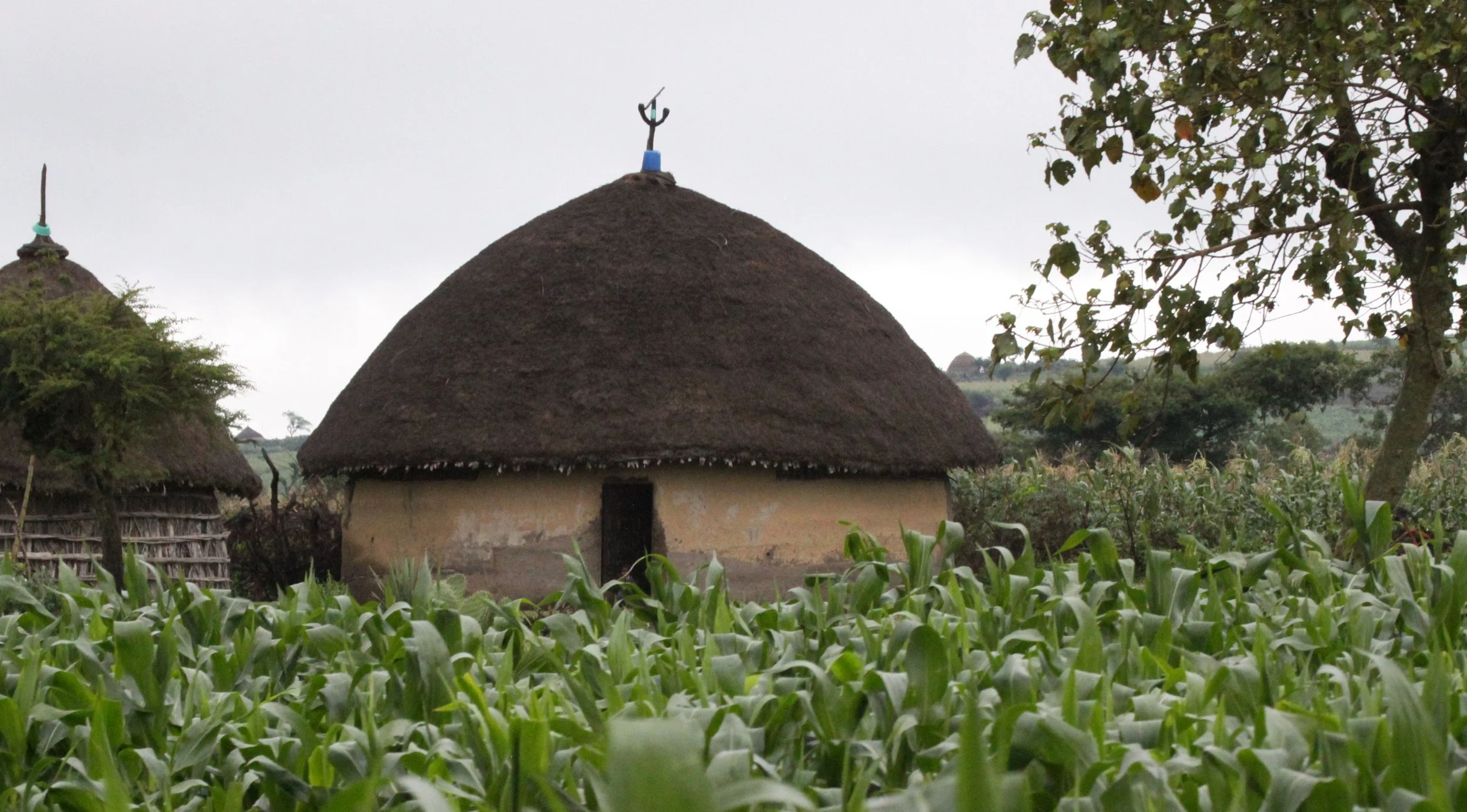 SENKELE SANCTUARY SURROUNDING VILLAGES - ETHIOPIA (6).JPG