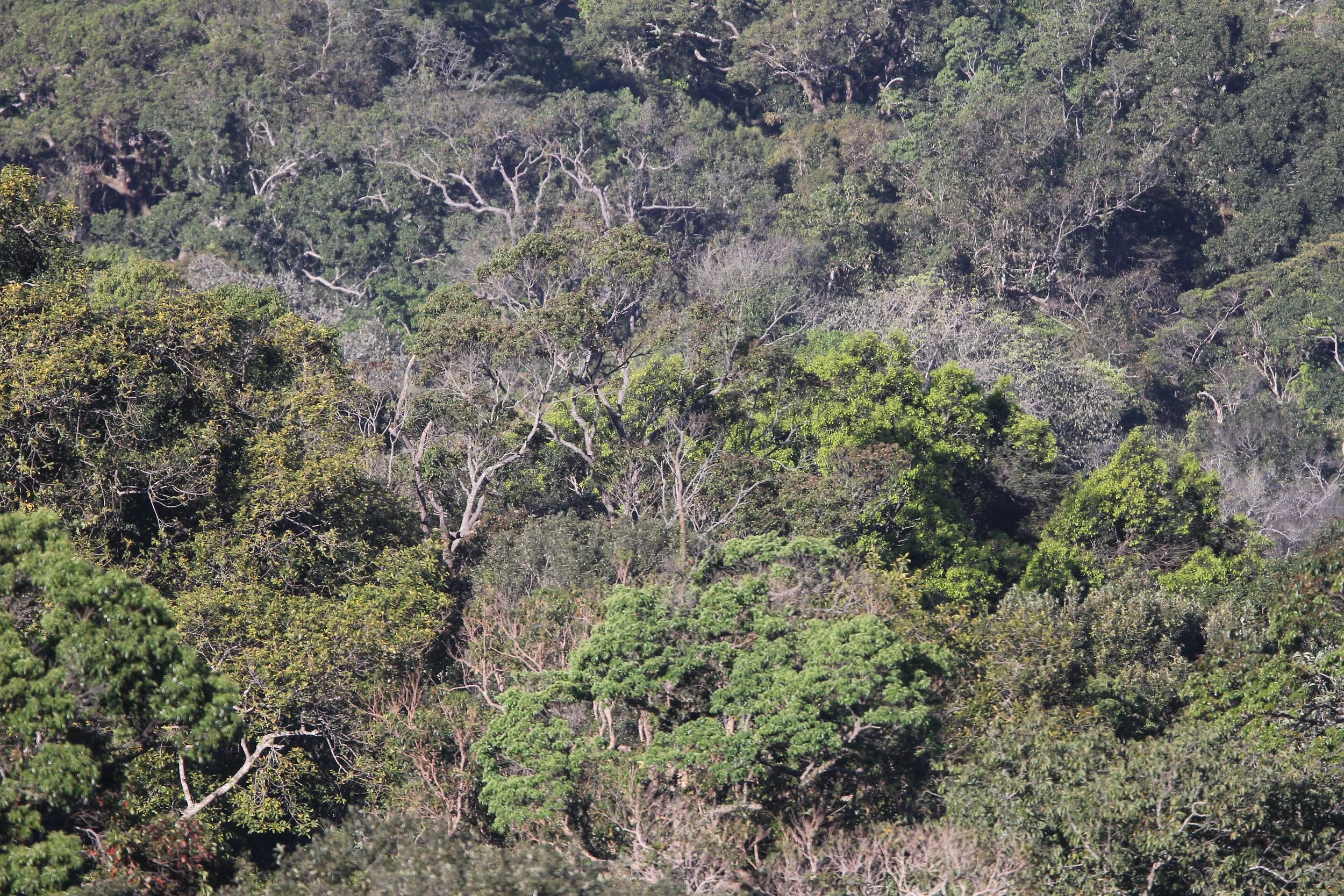 2019 Khao Yai Camping Trip (51).JPG