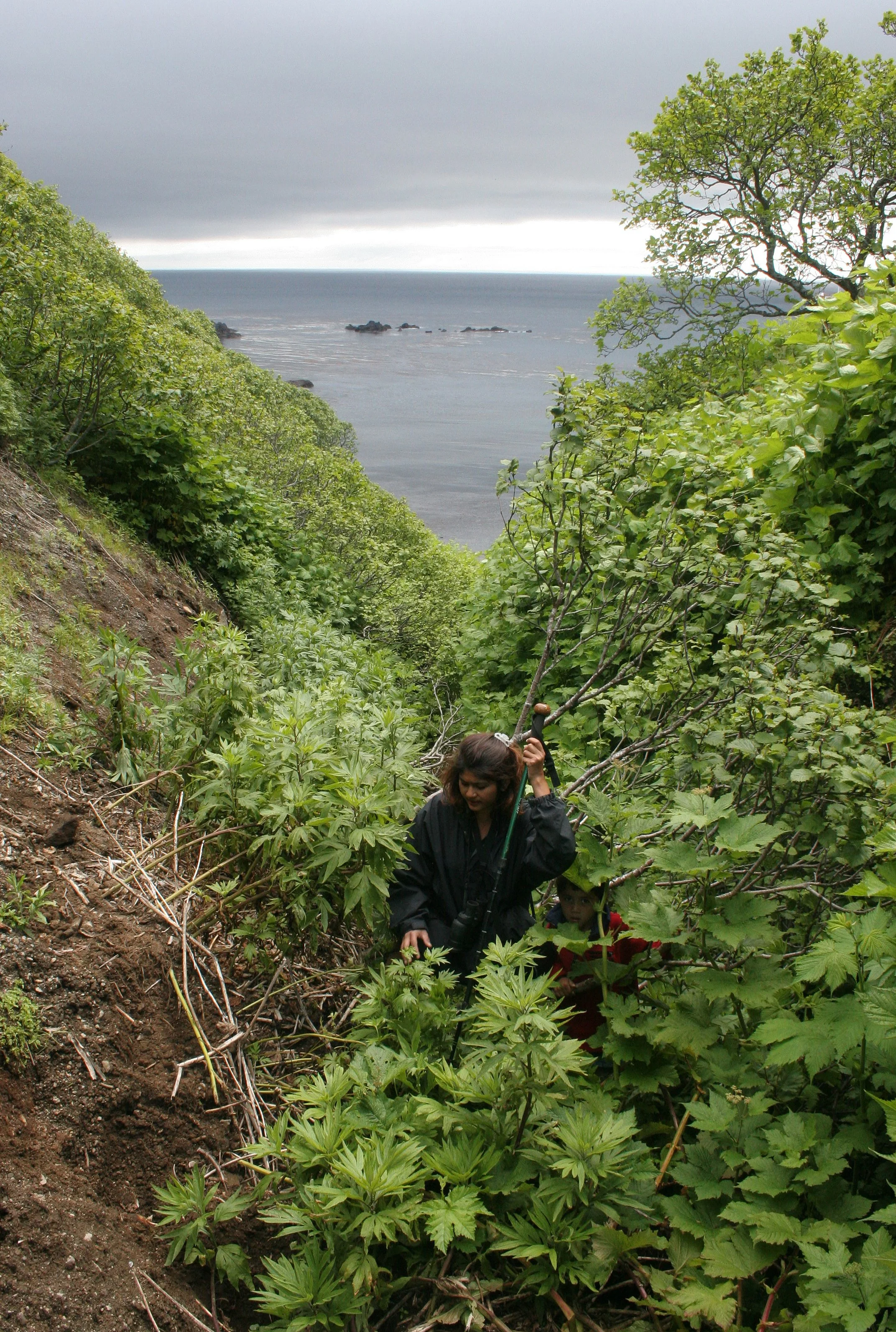 KURIL ISLANDS - VIEWS LANDSCAPES AND GEOLOGY - RUSSIA (67).jpg
