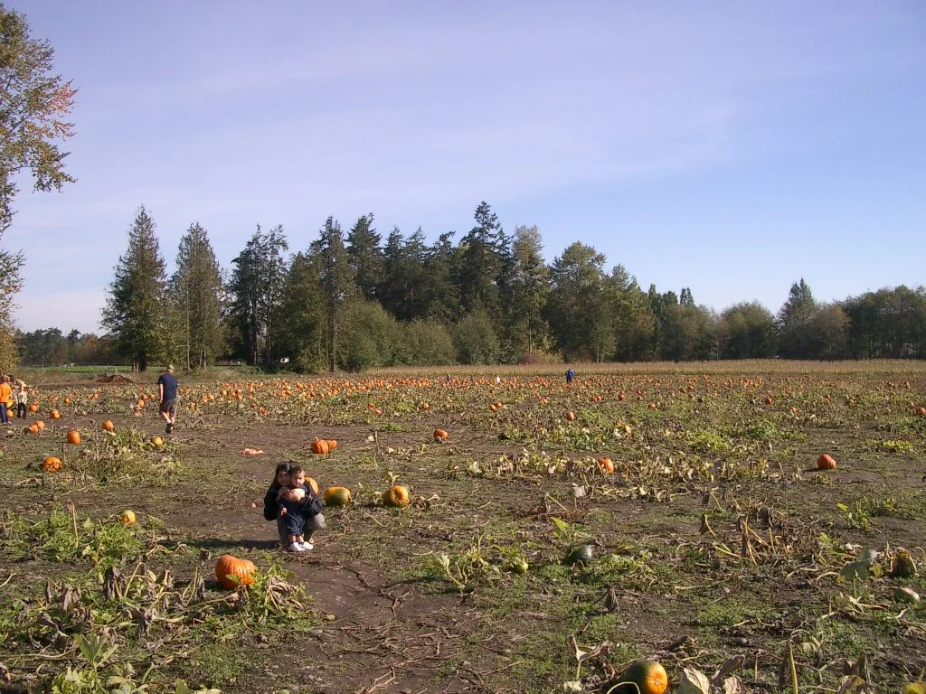 2003-10-26 PUMPKIN PATCH PORT ANGELES (14).JPG